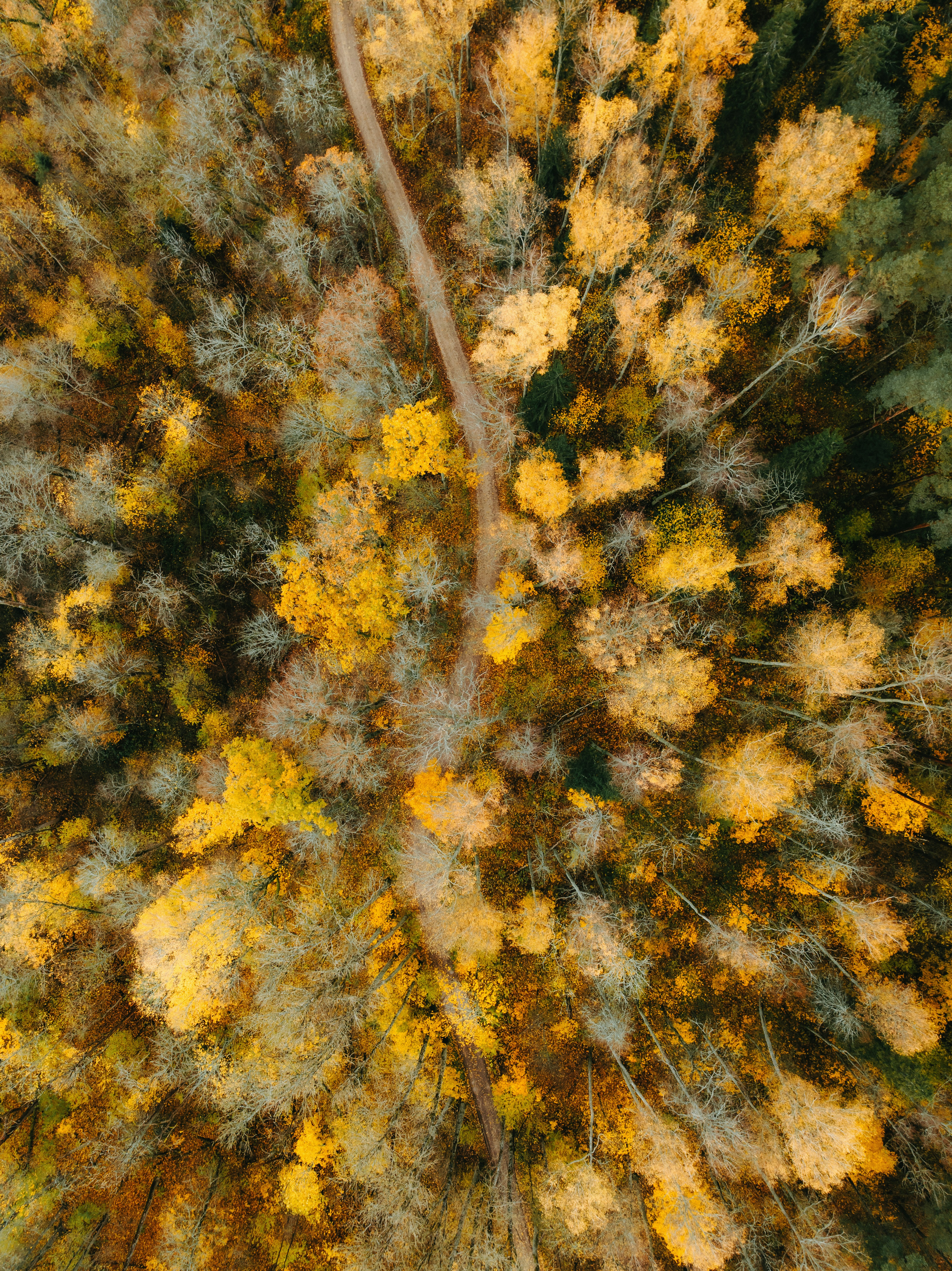 Photo by kristapsungurs