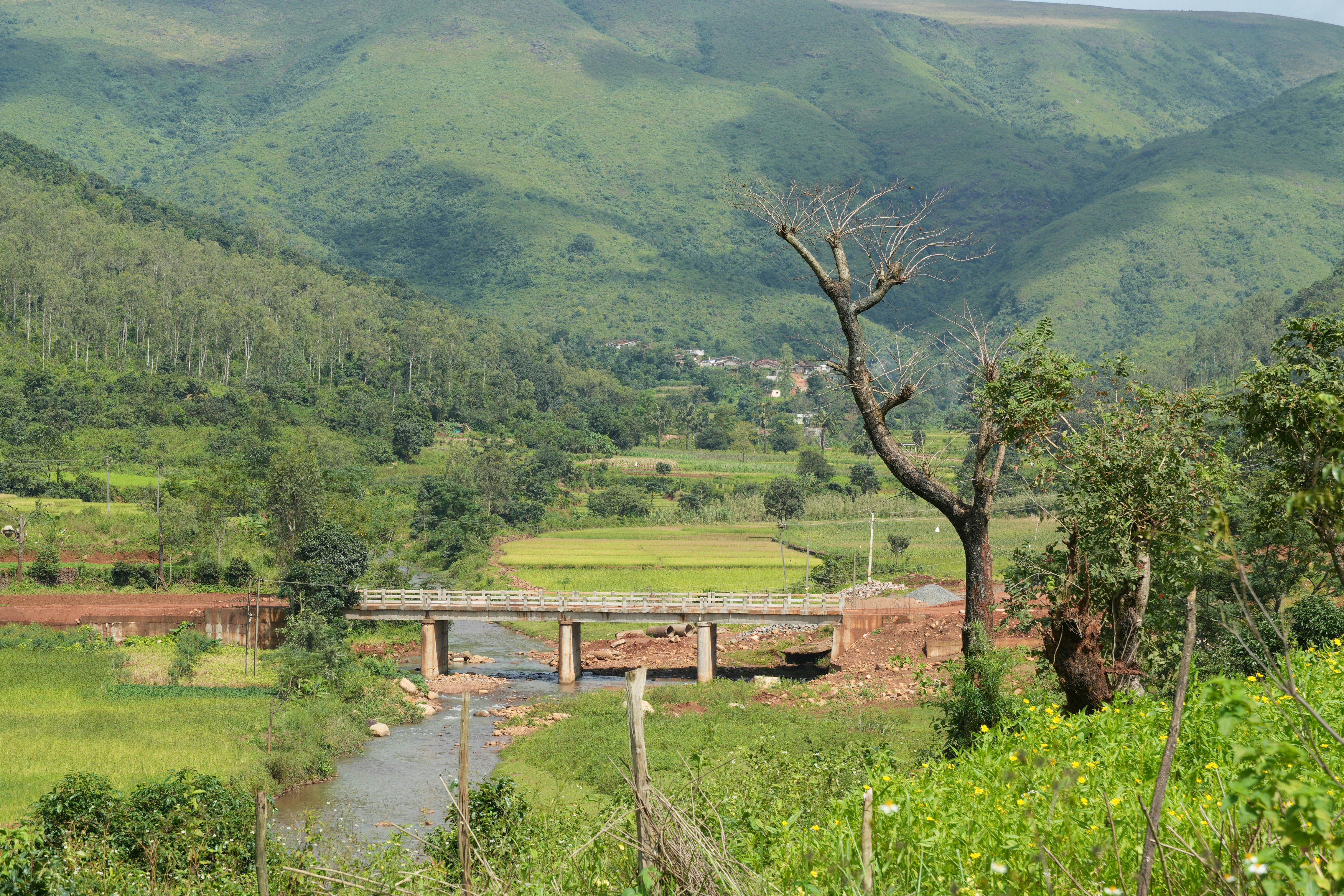 A bridge crosses a river in a lush green valley.