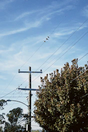 Birds perched on telephone wires against blue sky