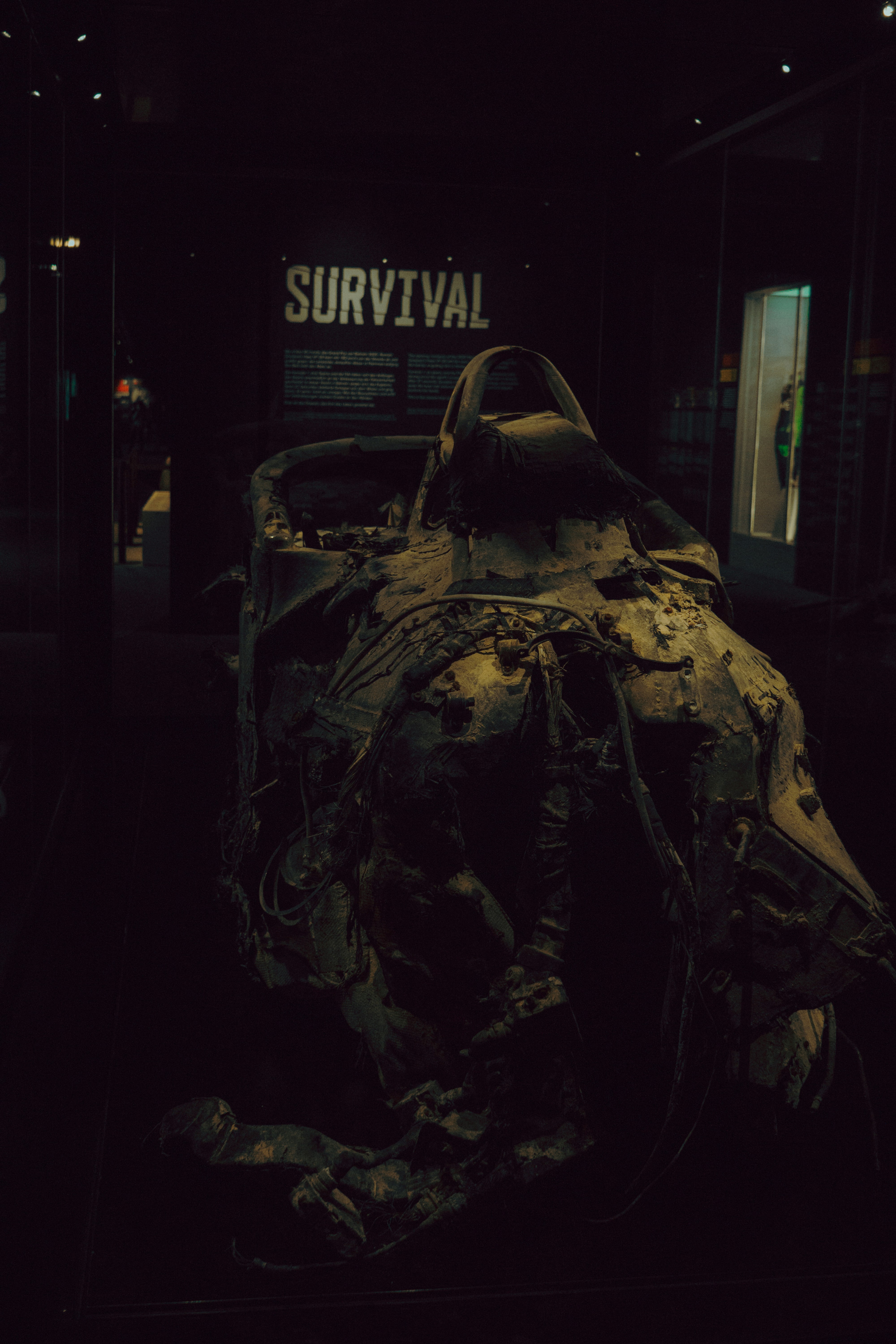 Rust - The Wasteland