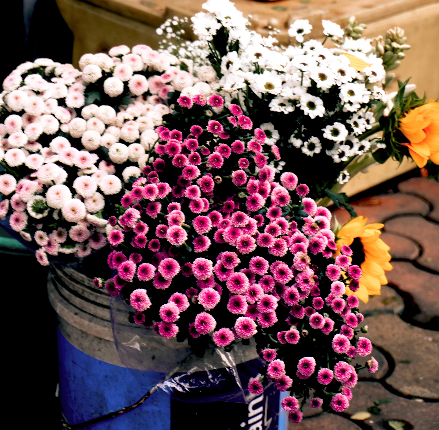 A galvanised bucket crowded with pink, white and yellow blooms