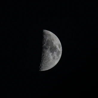 Half moon illuminated against a dark night sky