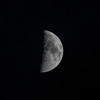 Half moon illuminated against a dark night sky