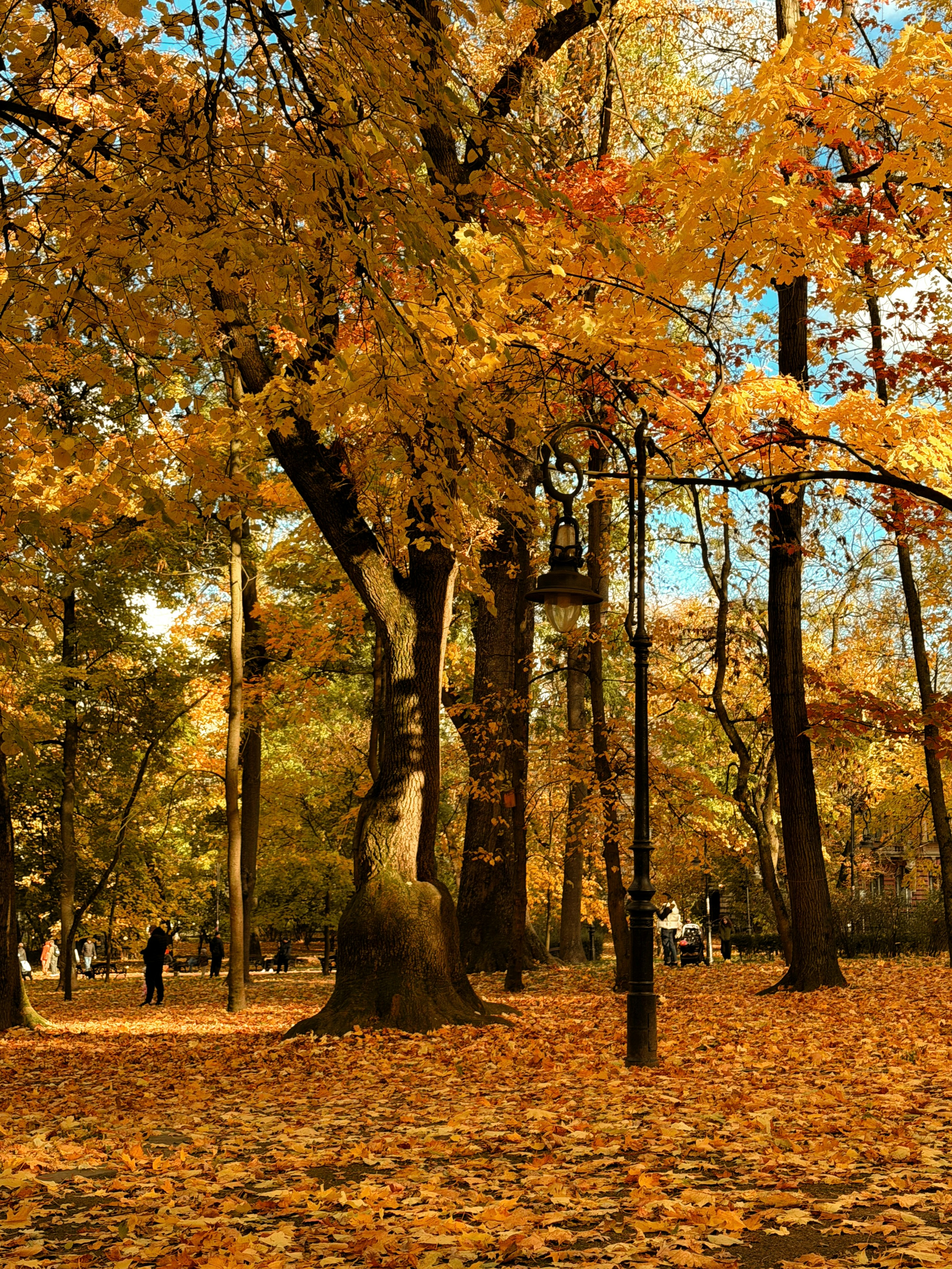 Photo by inna_yashna