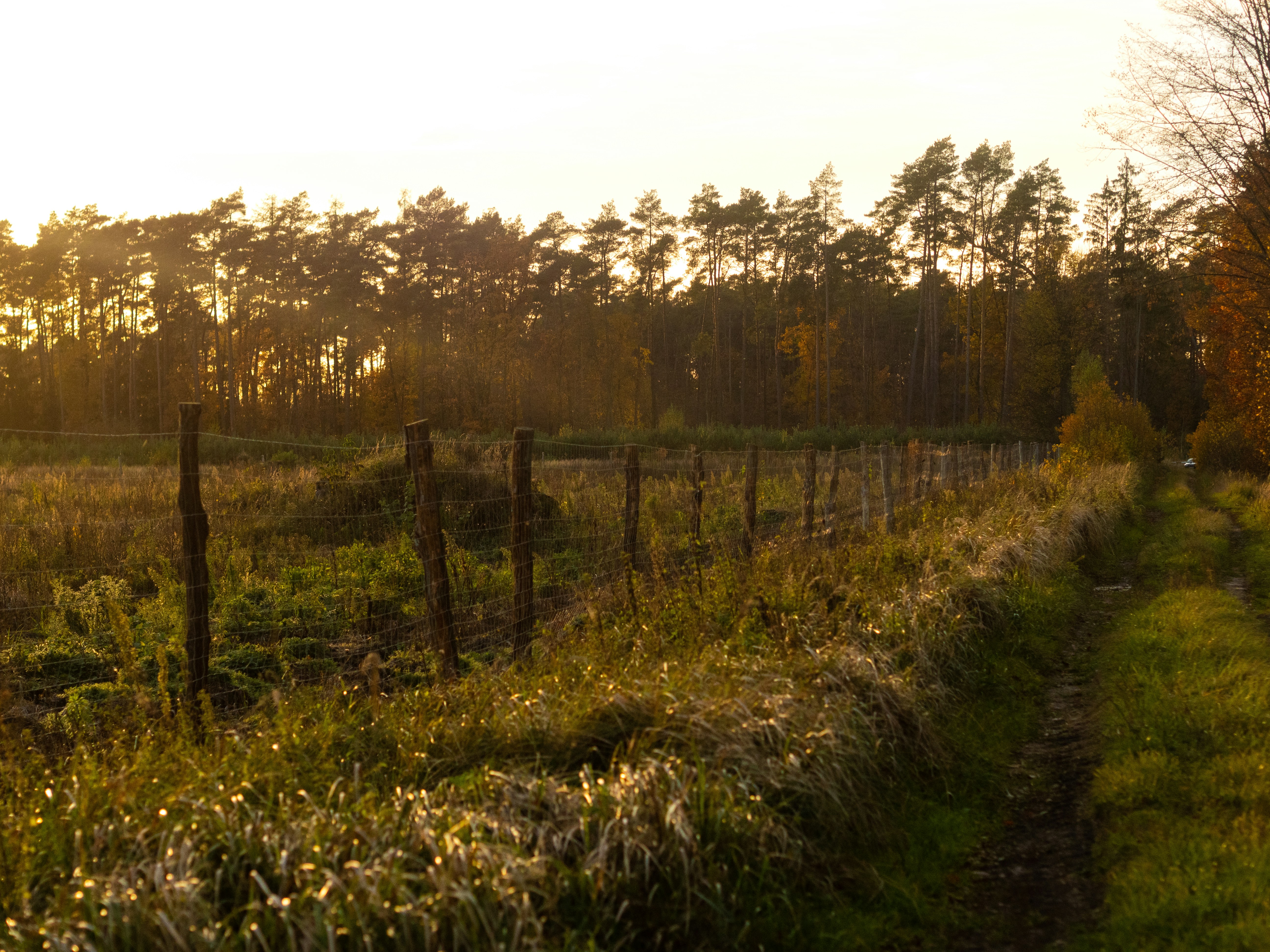 Photo by jstrozewski