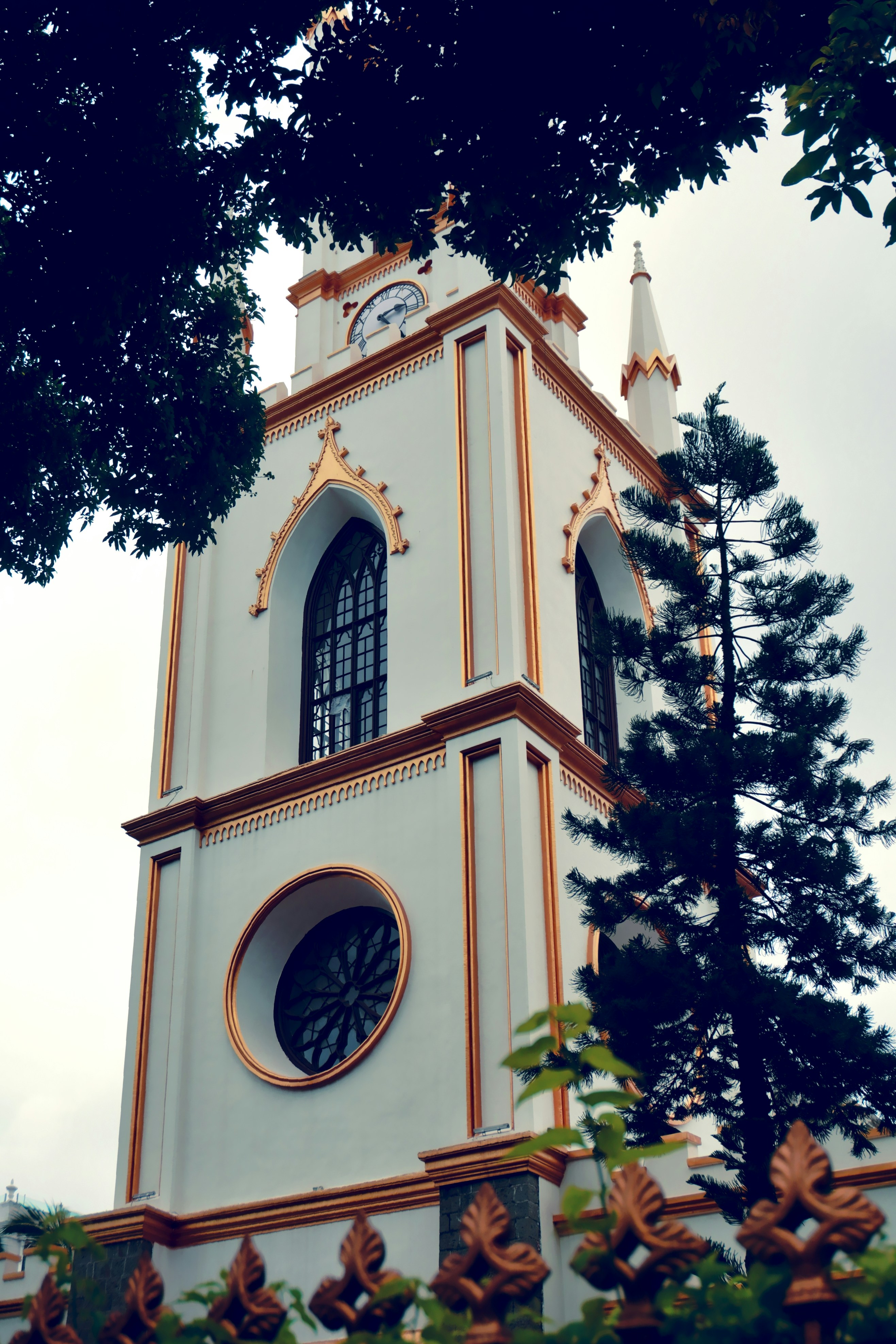 Photo by _muser_photography