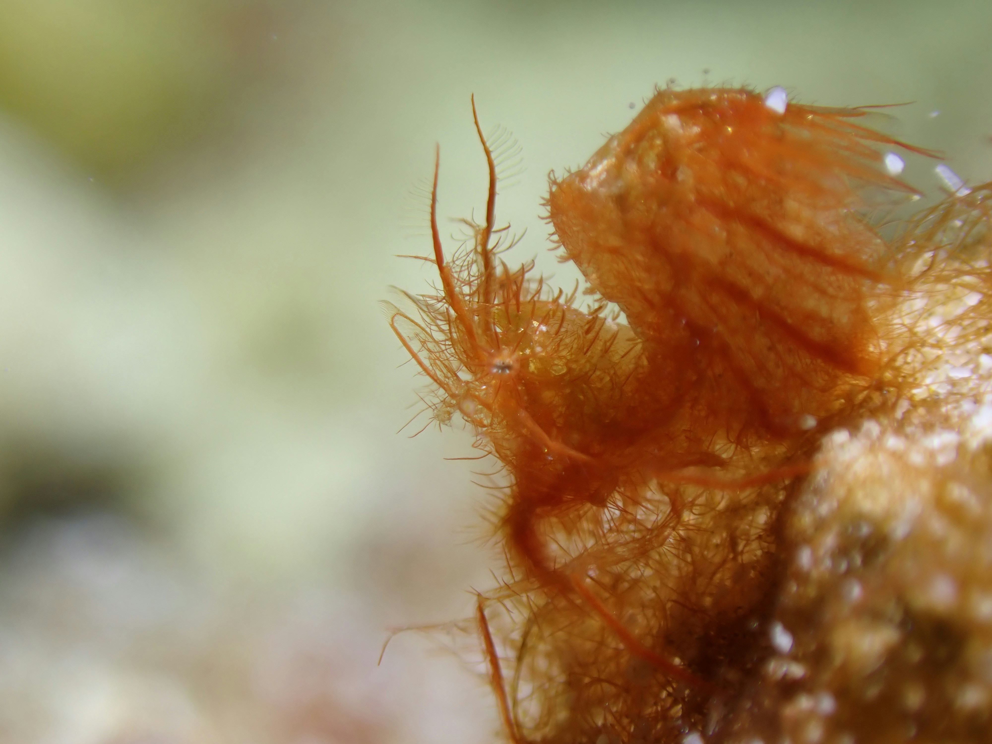 Photo by owentay0307