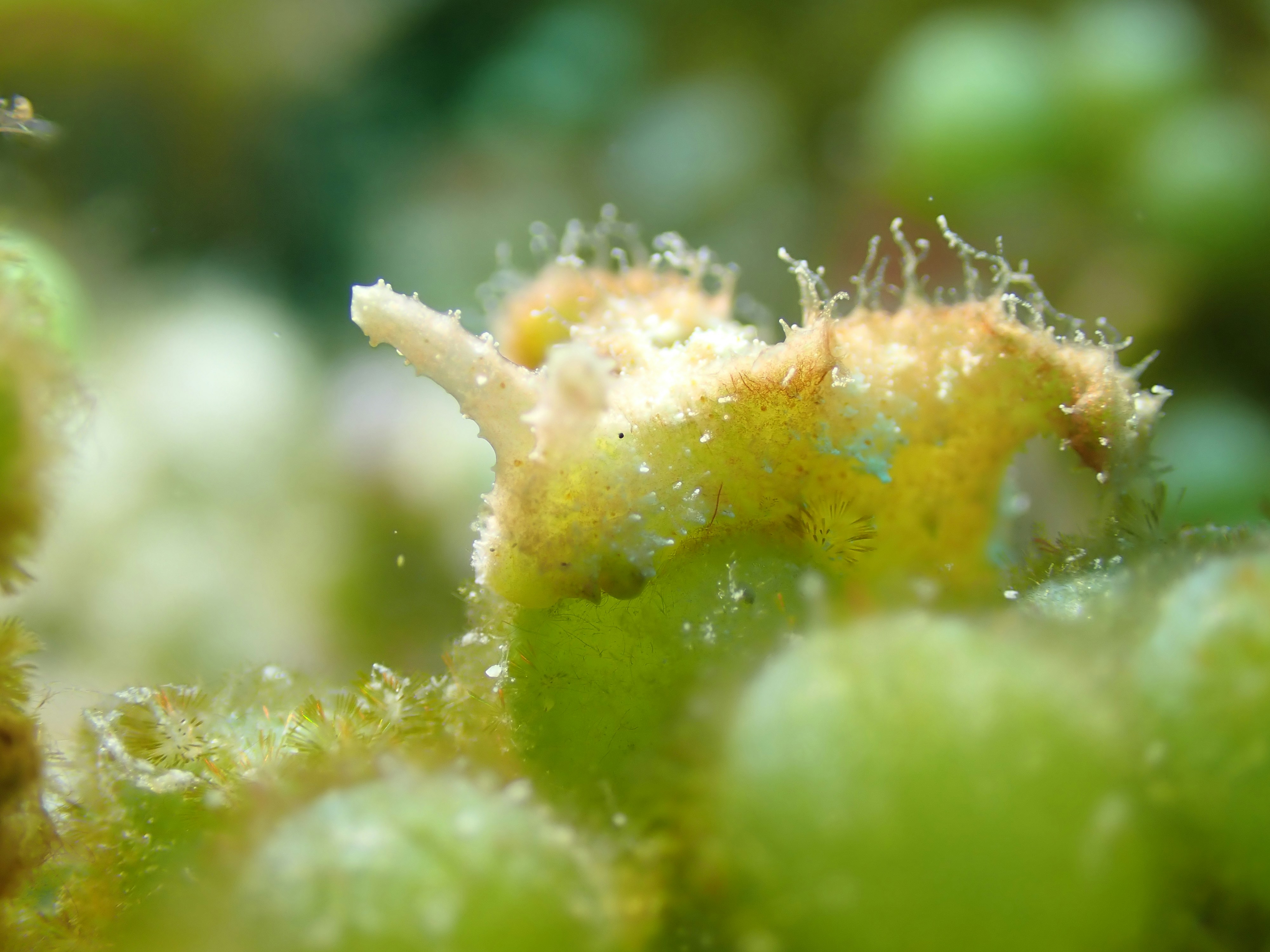 Photo by owentay0307