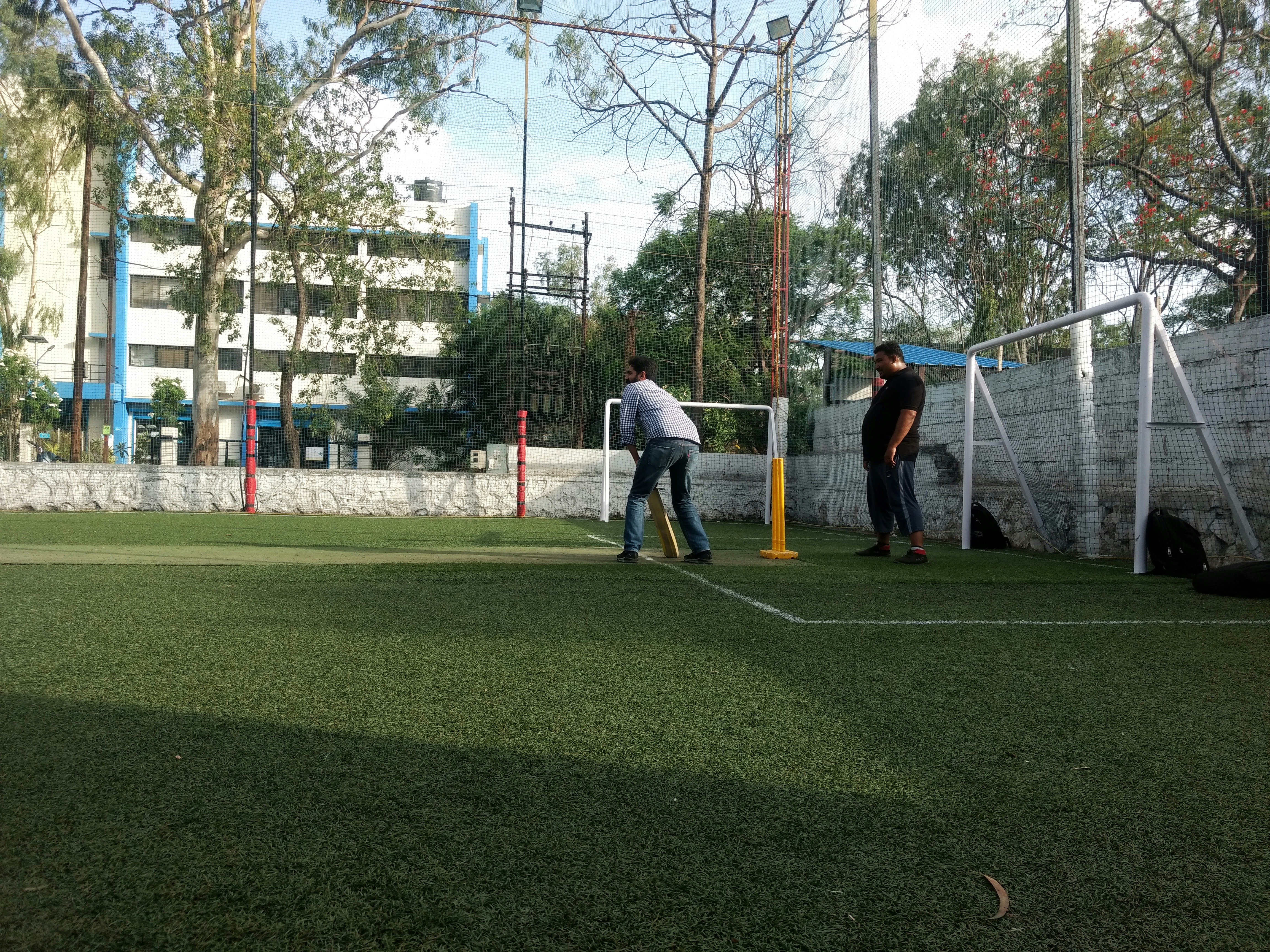 Passionate box cricket