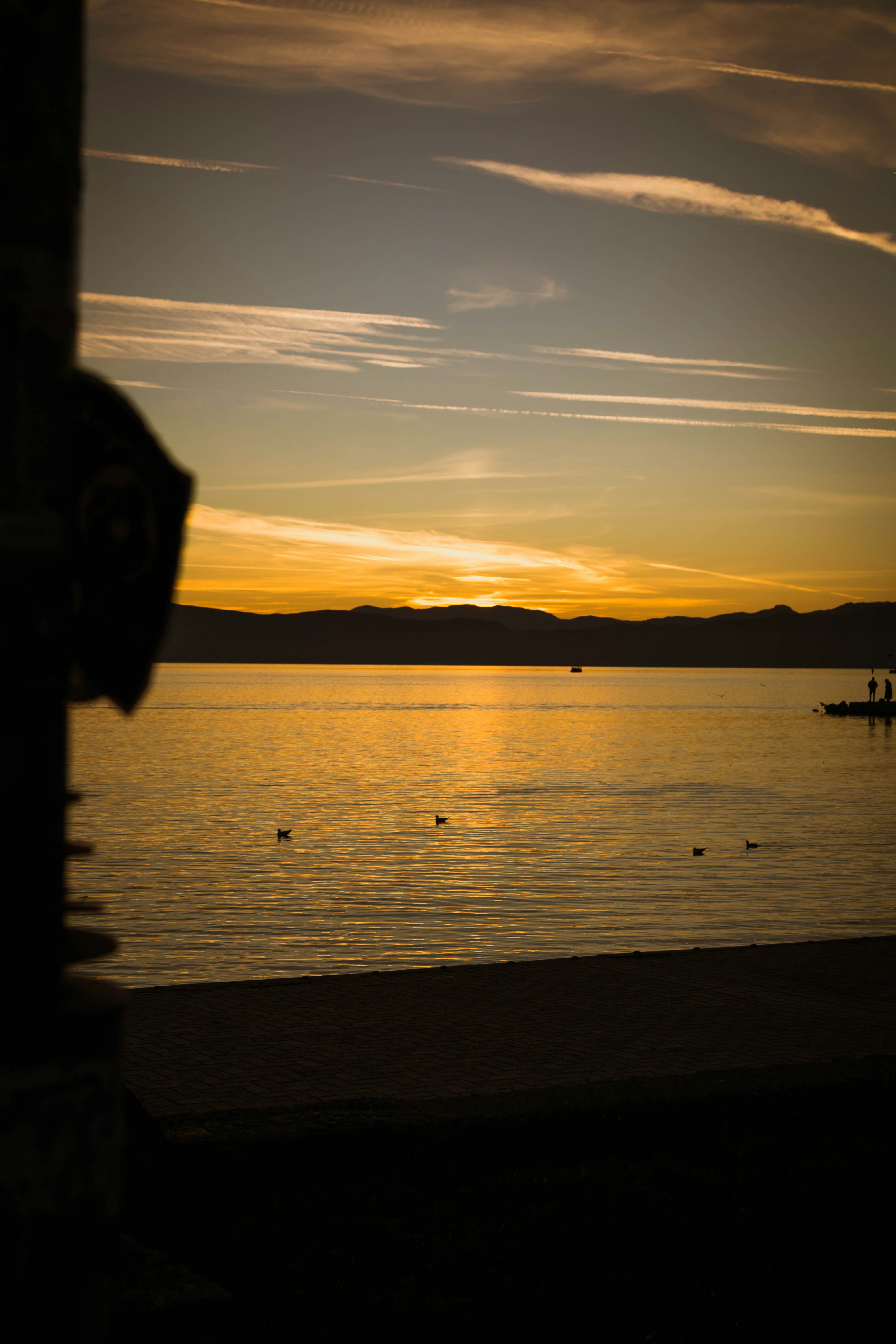 Photo by sokoltge