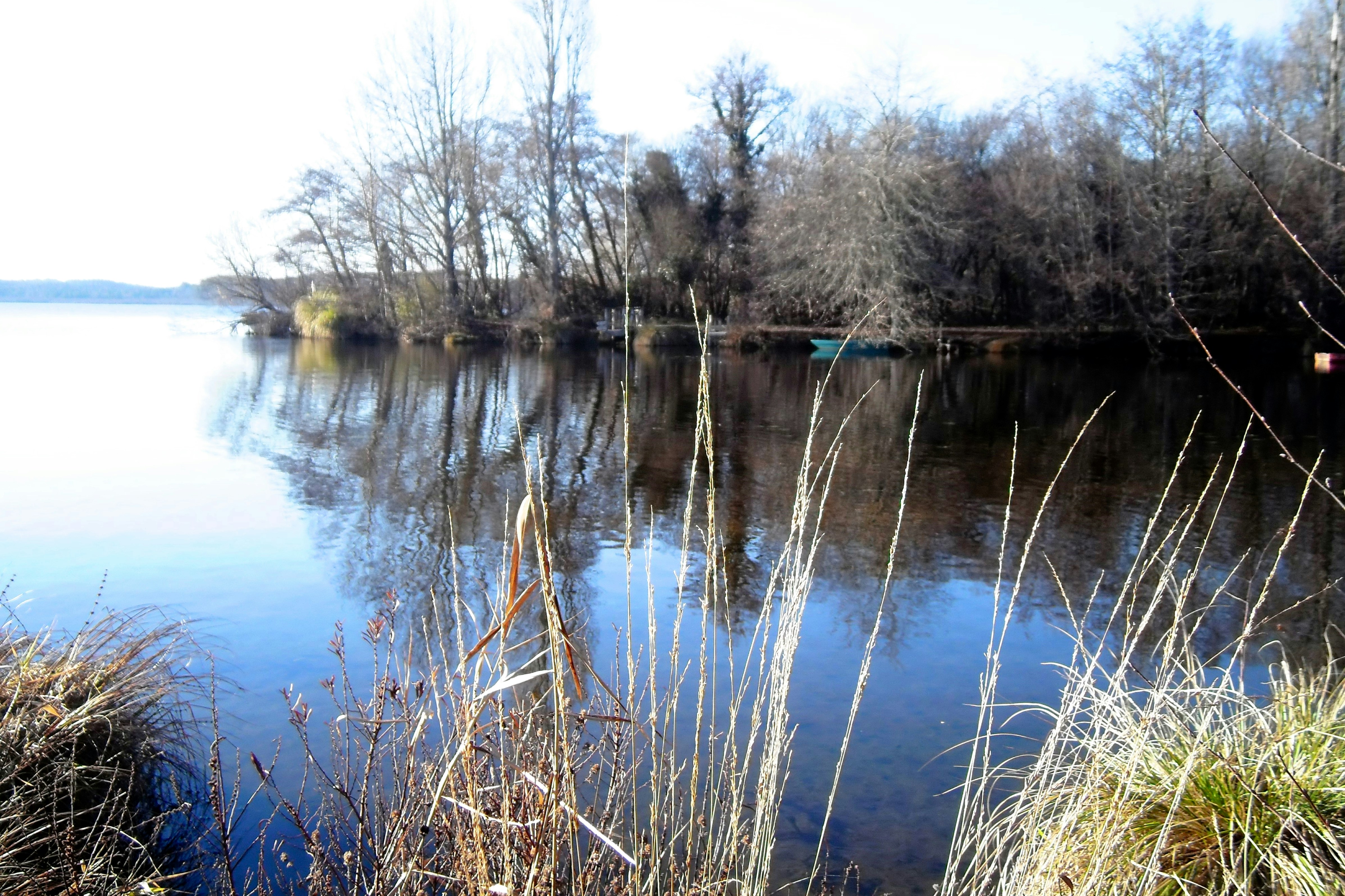 Photo by mike_steelen