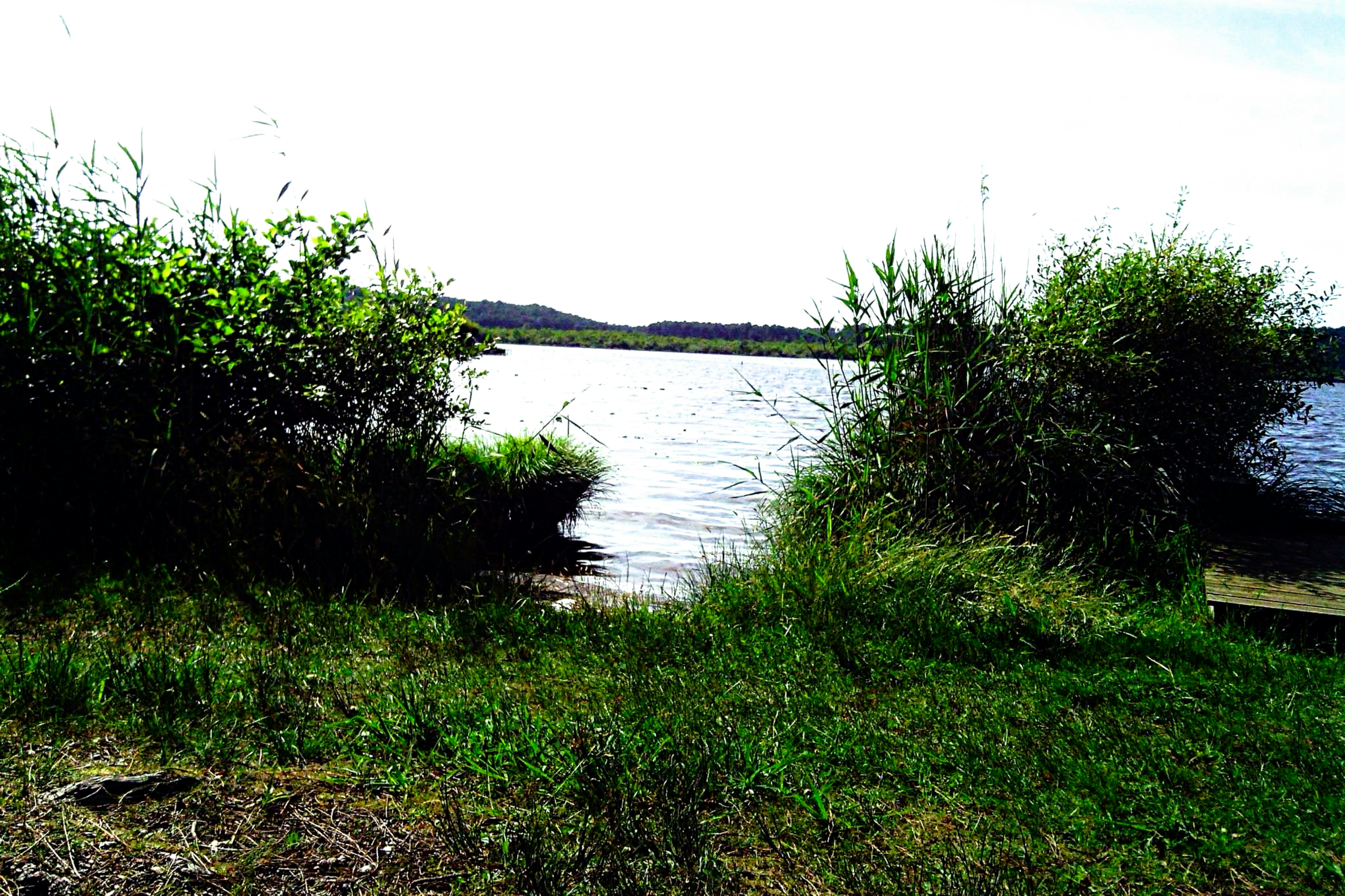 Photo by mike_steelen