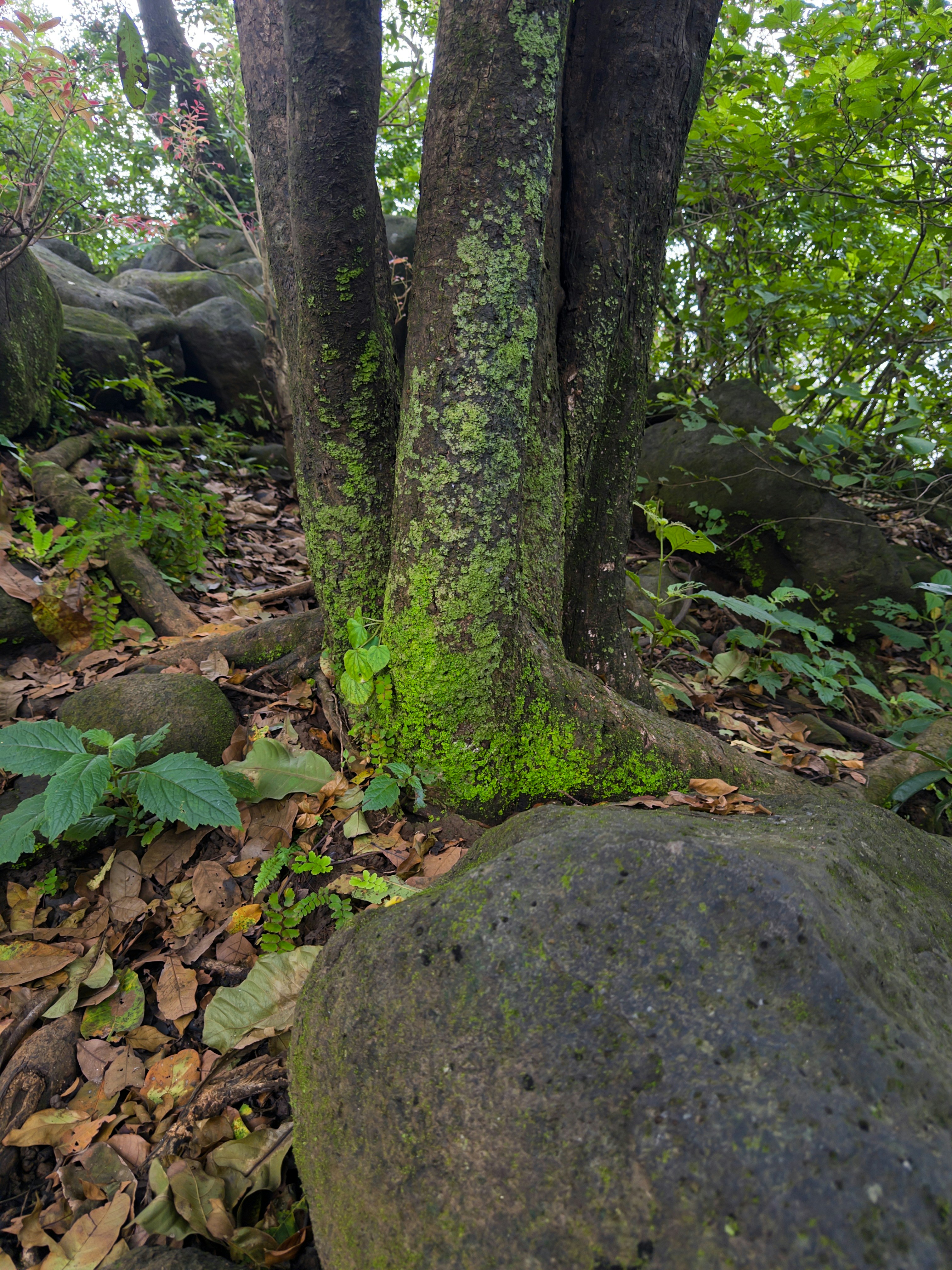 Photo by cine_photons