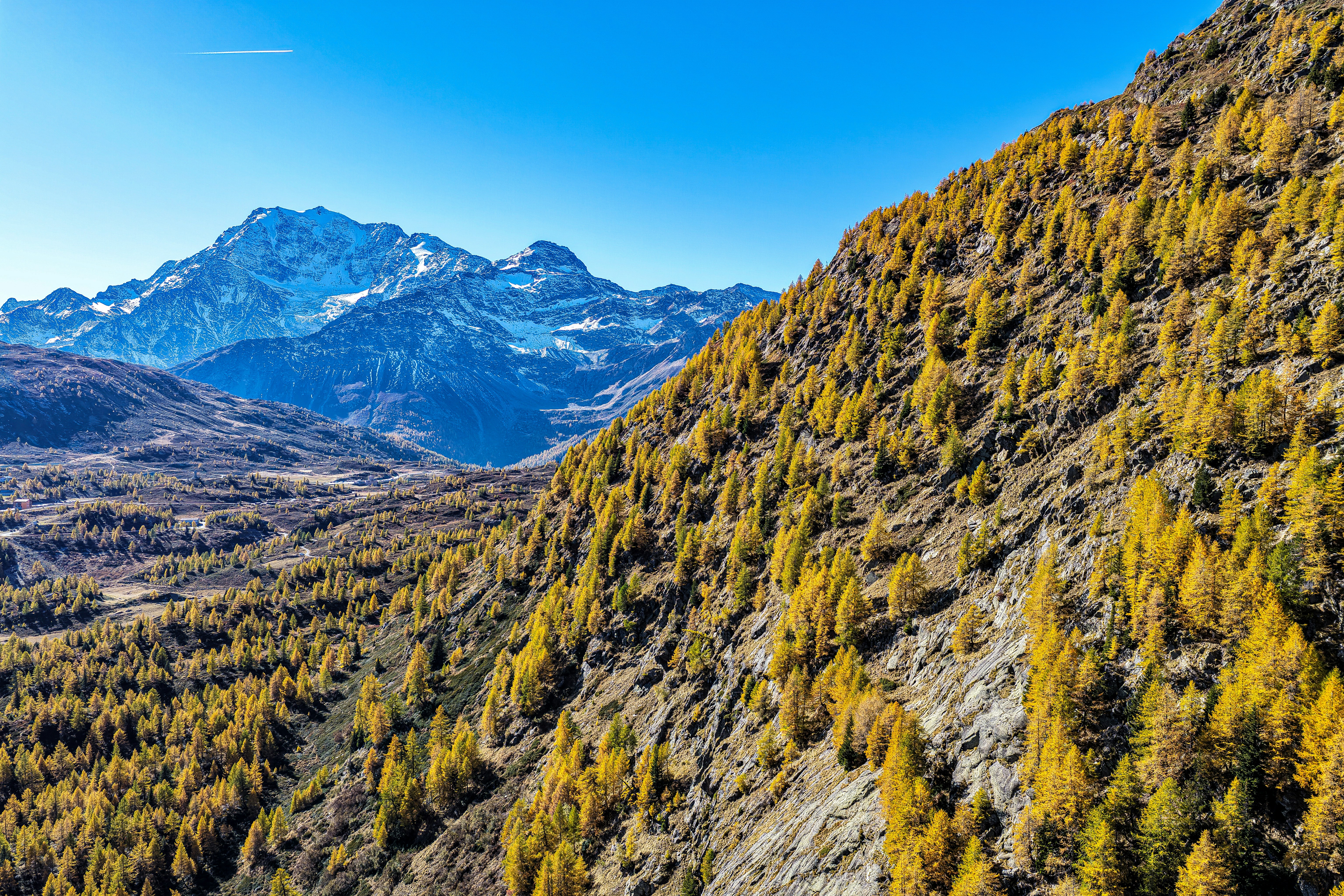 Photo by maximilian_brand