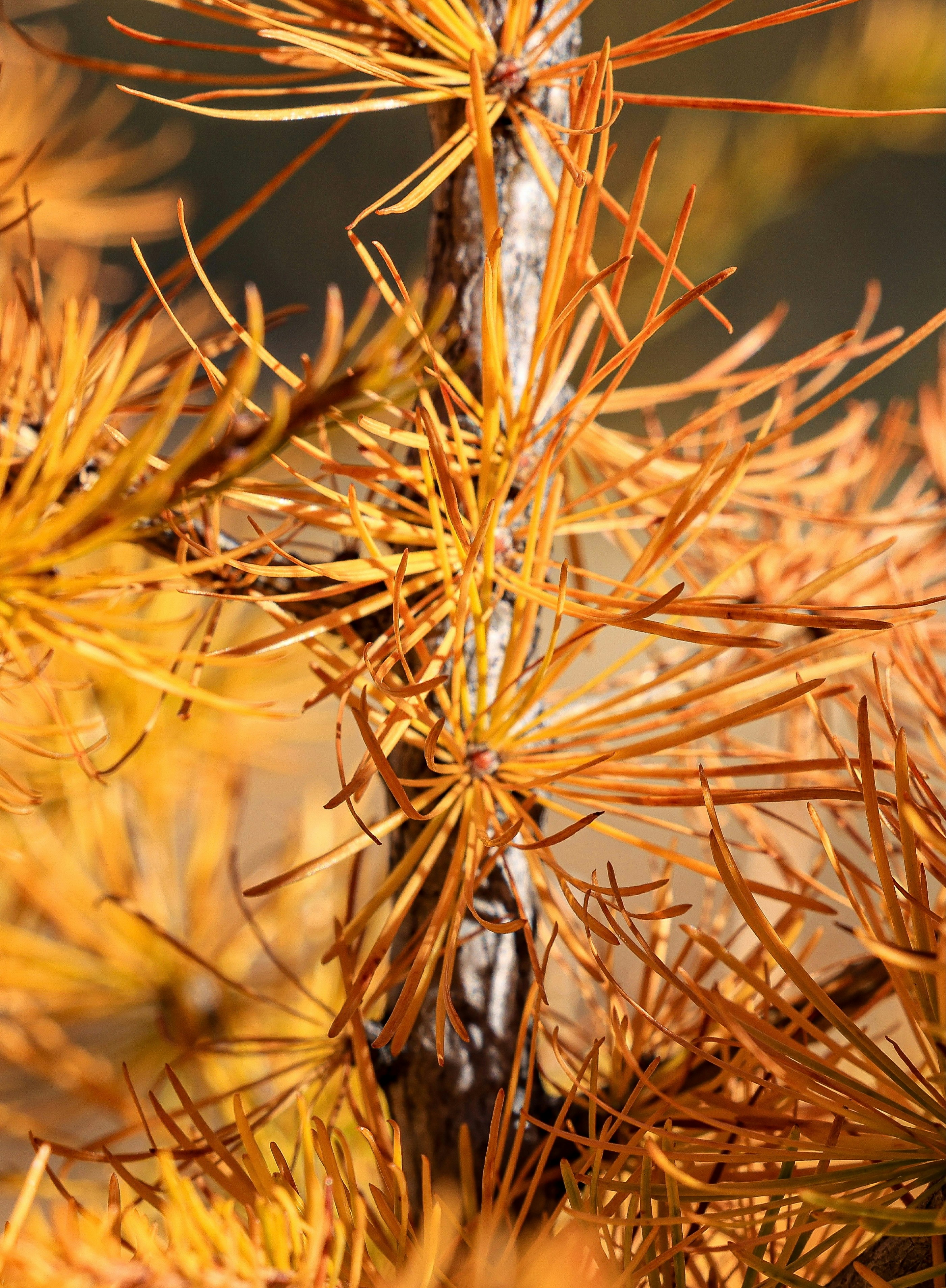 Photo by maximilian_brand