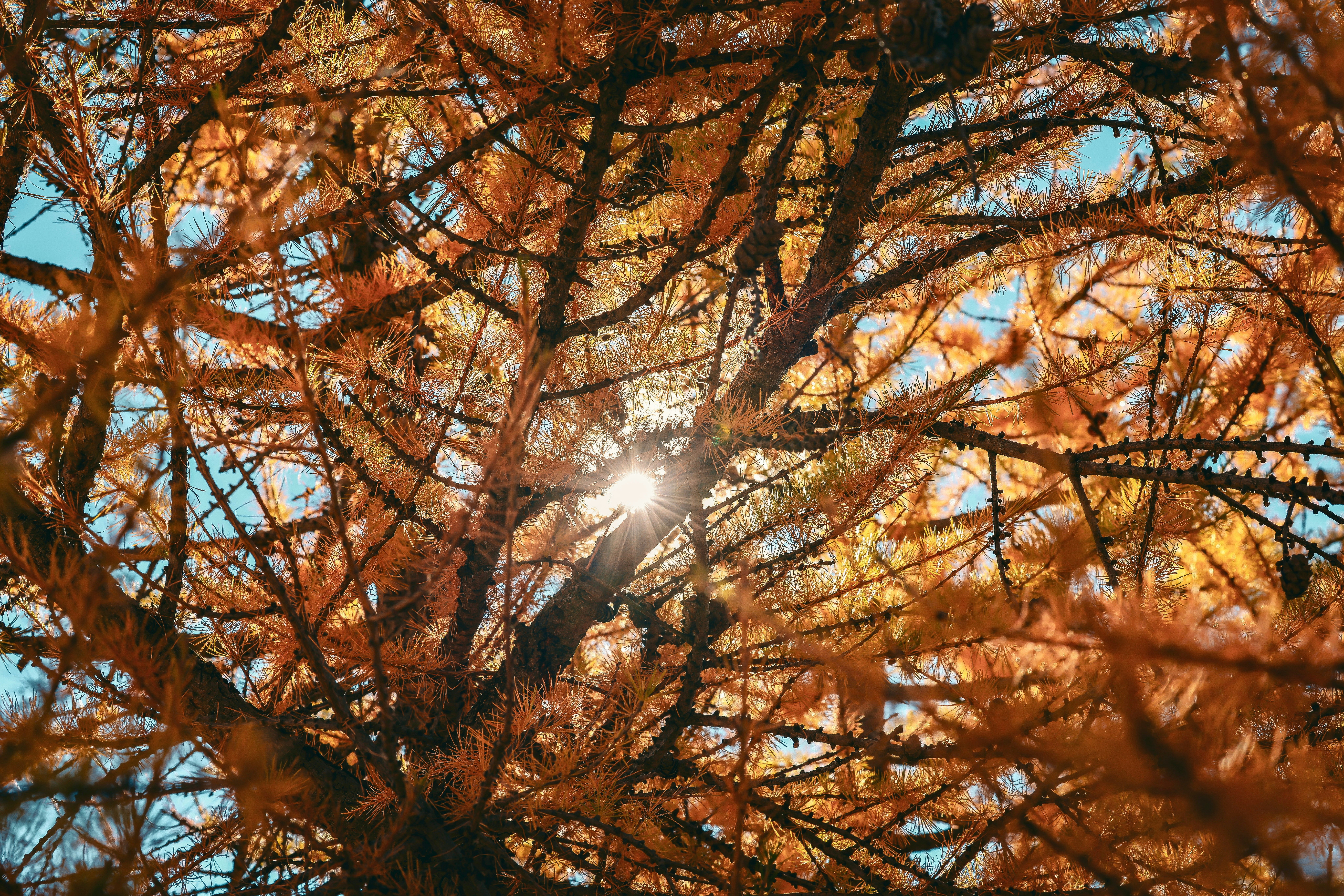 Photo by maximilian_brand