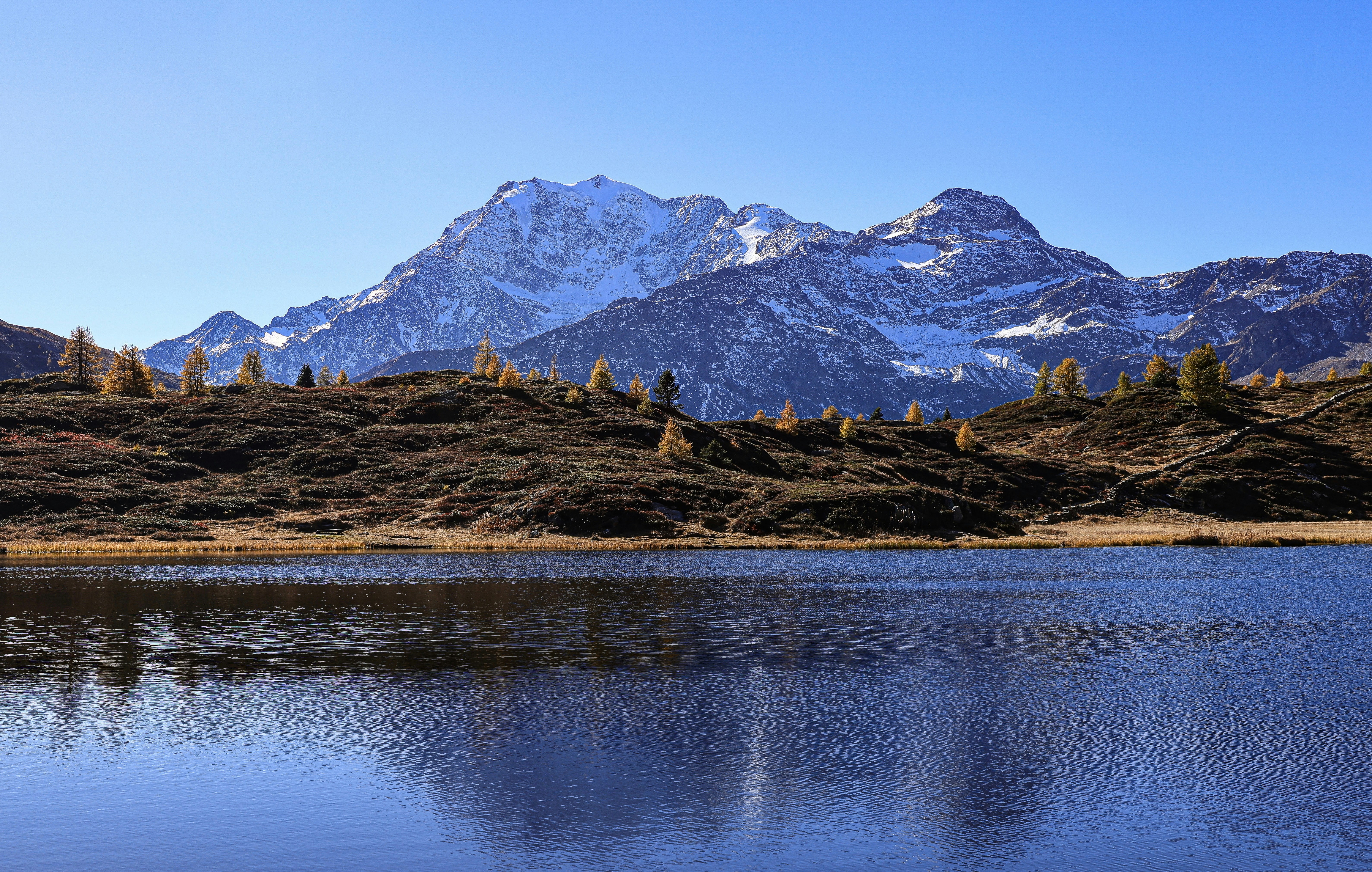 Photo by maximilian_brand