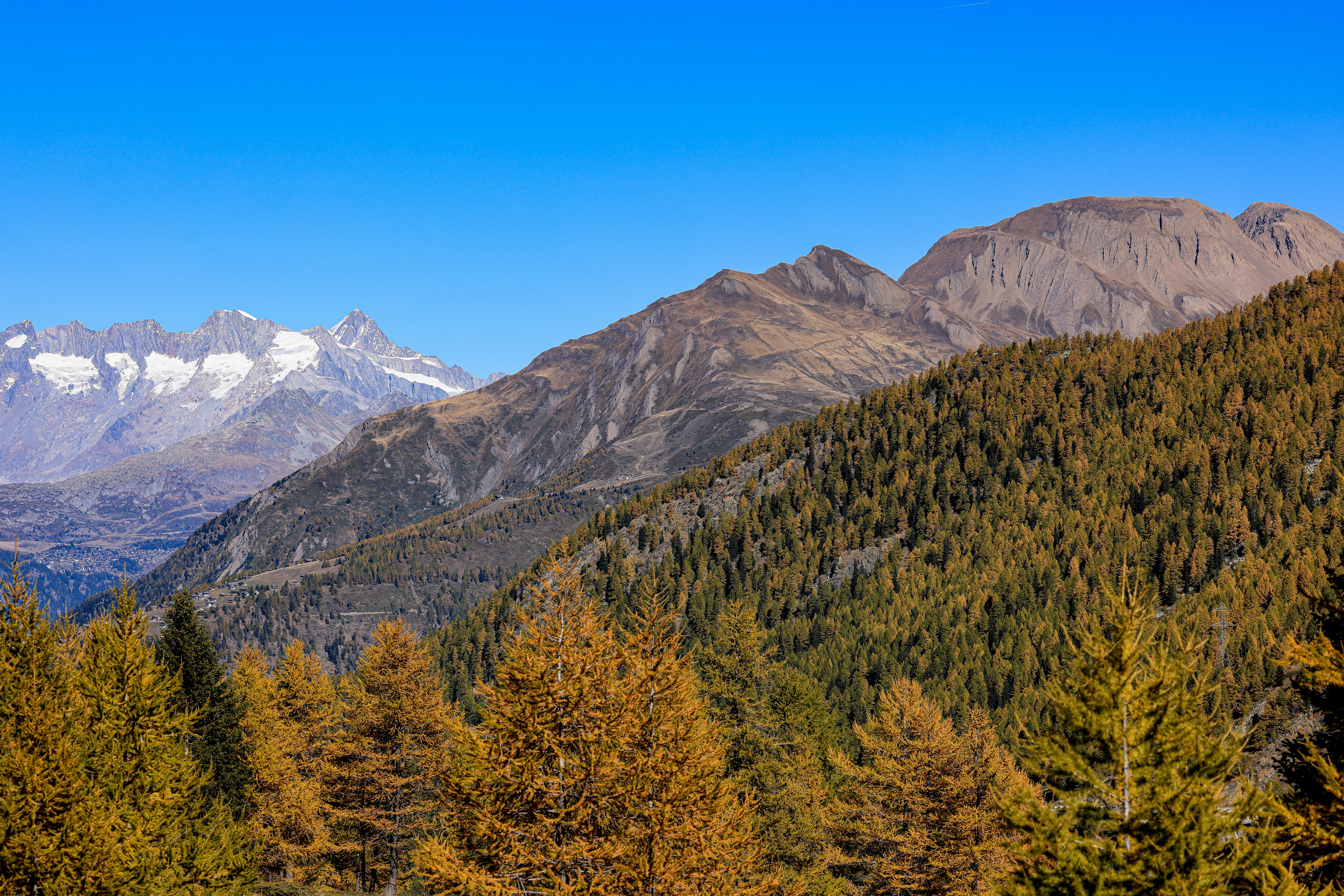 Photo by maximilian_brand