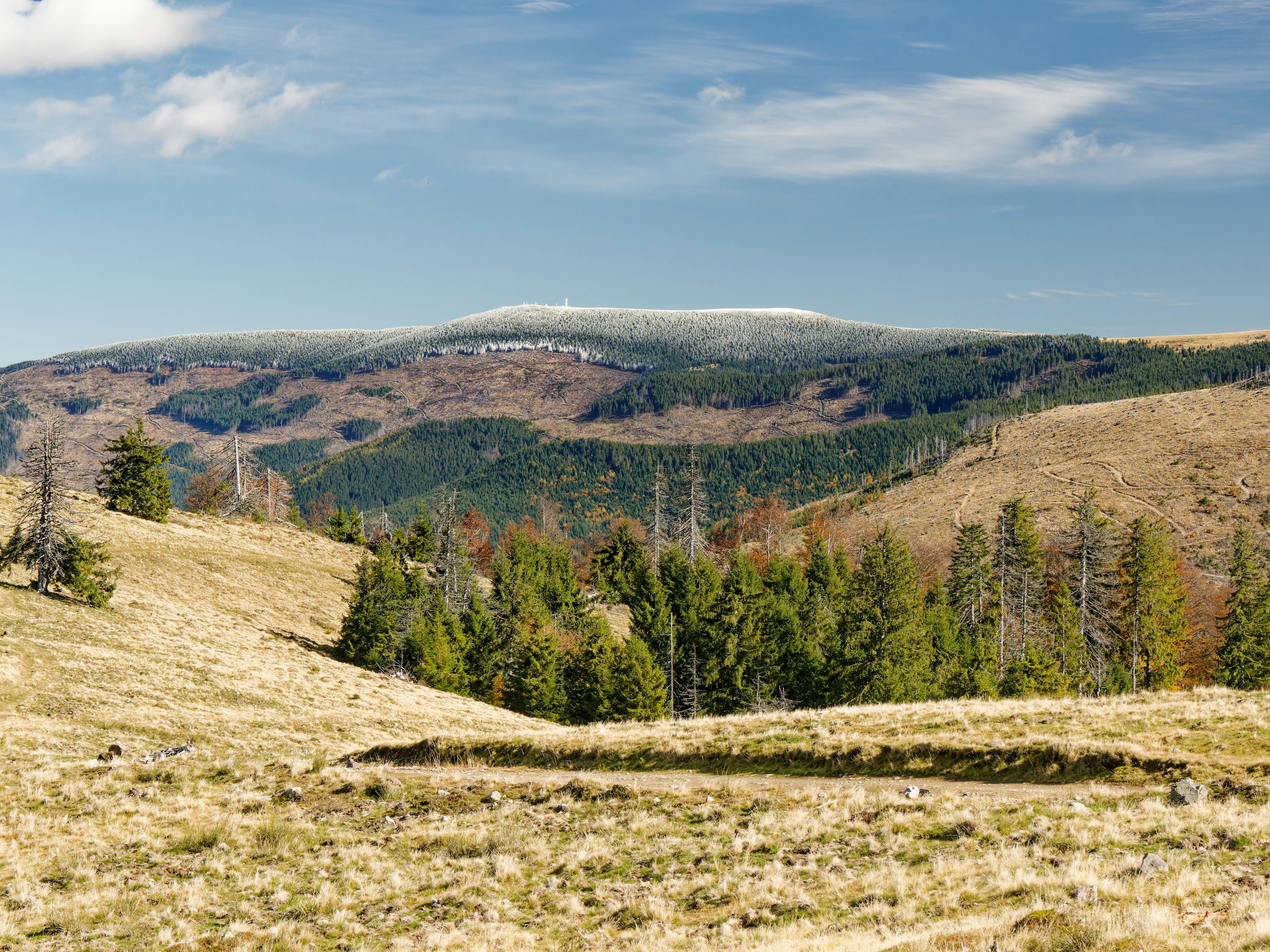 Photo by illes_cristi