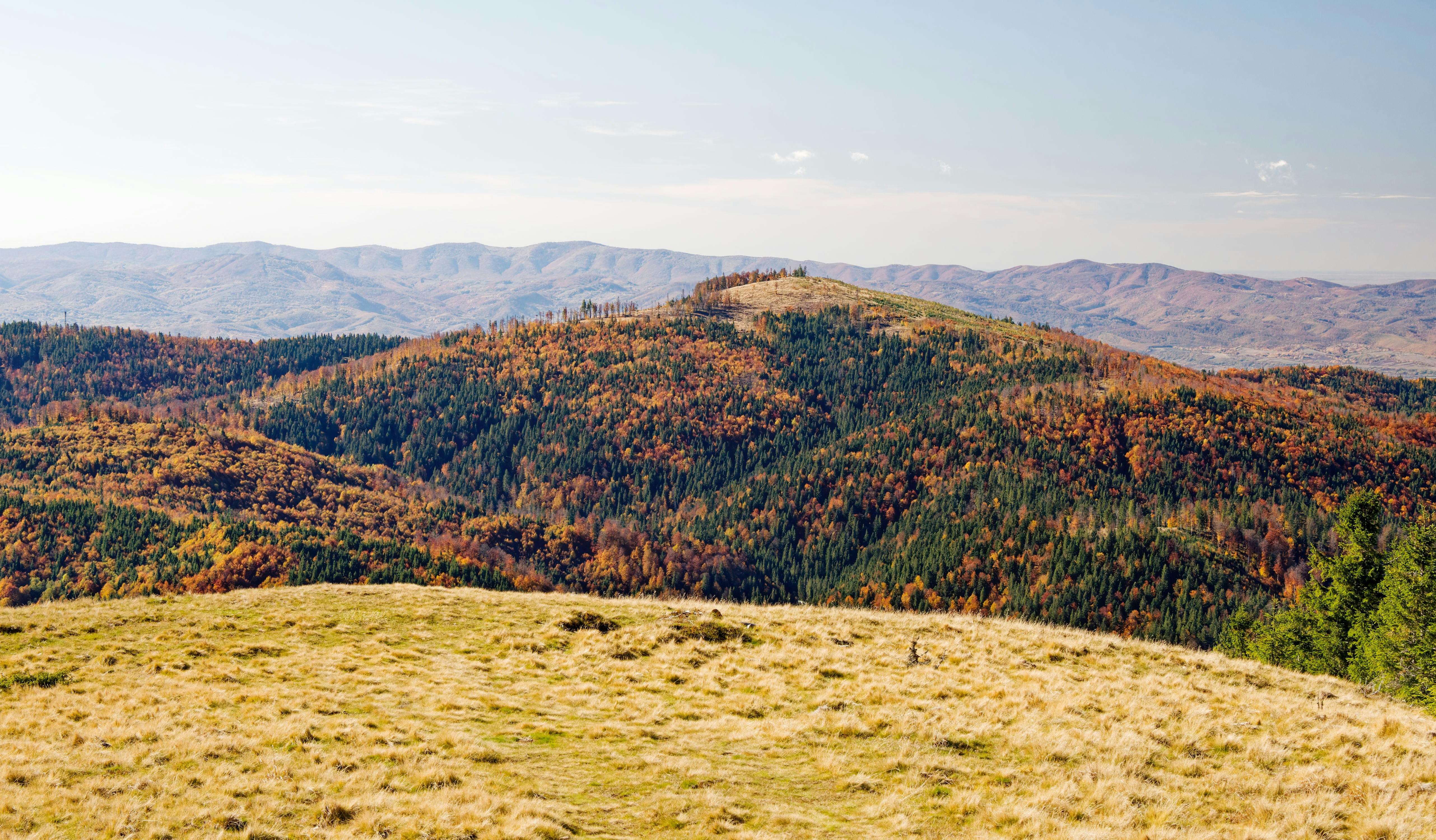 Photo by illes_cristi