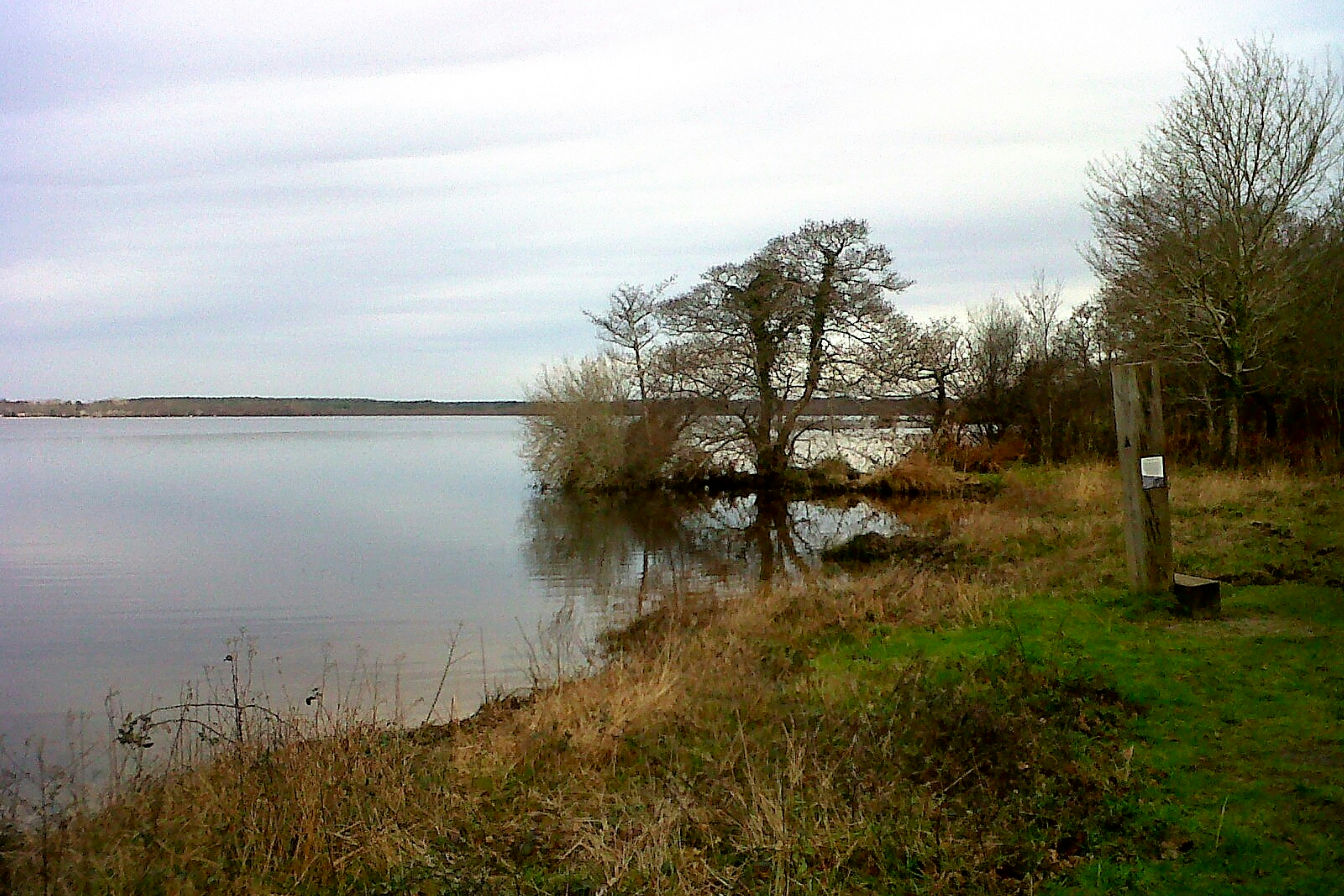 Photo by mike_steelen