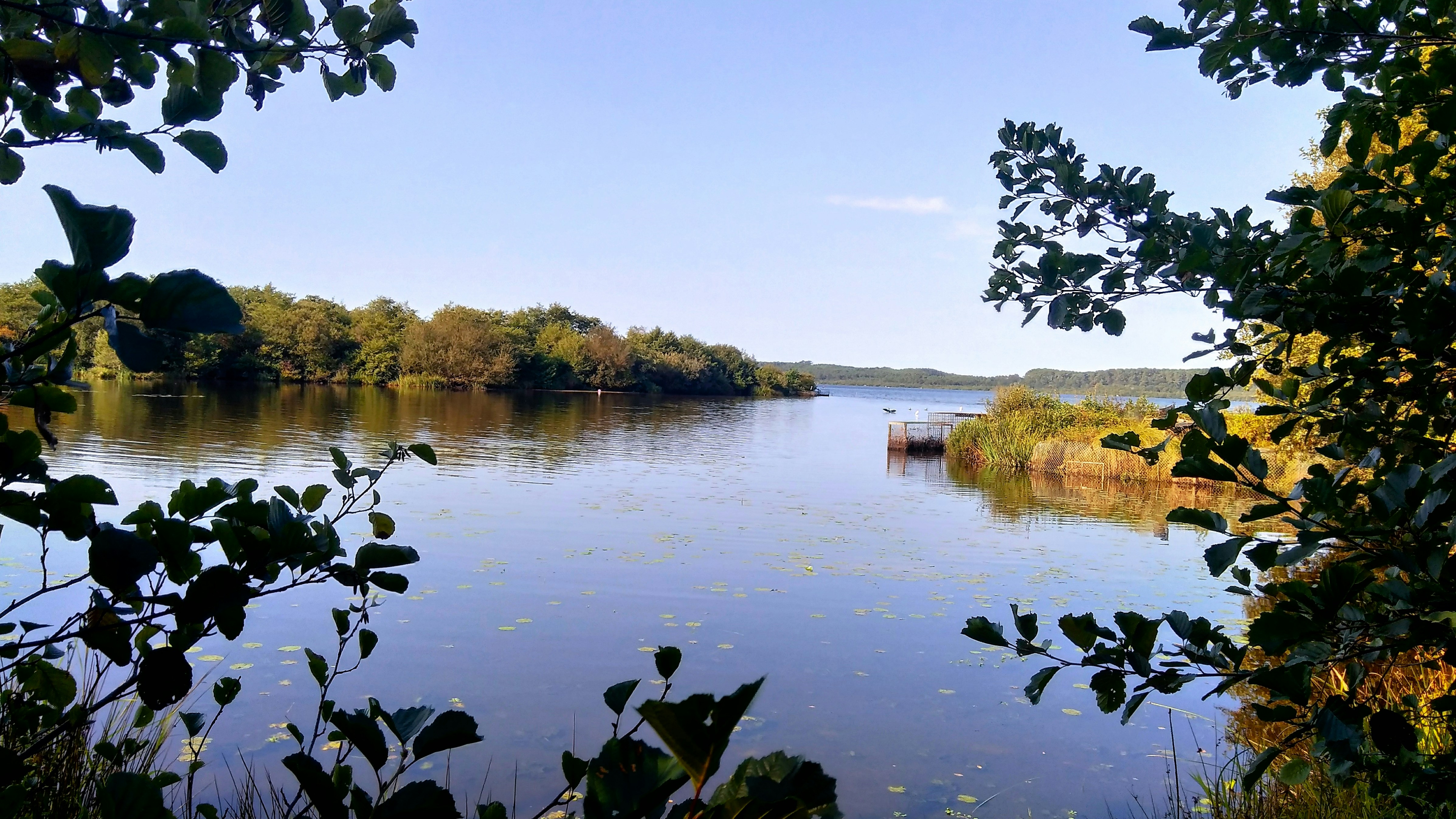 Photo by mike_steelen