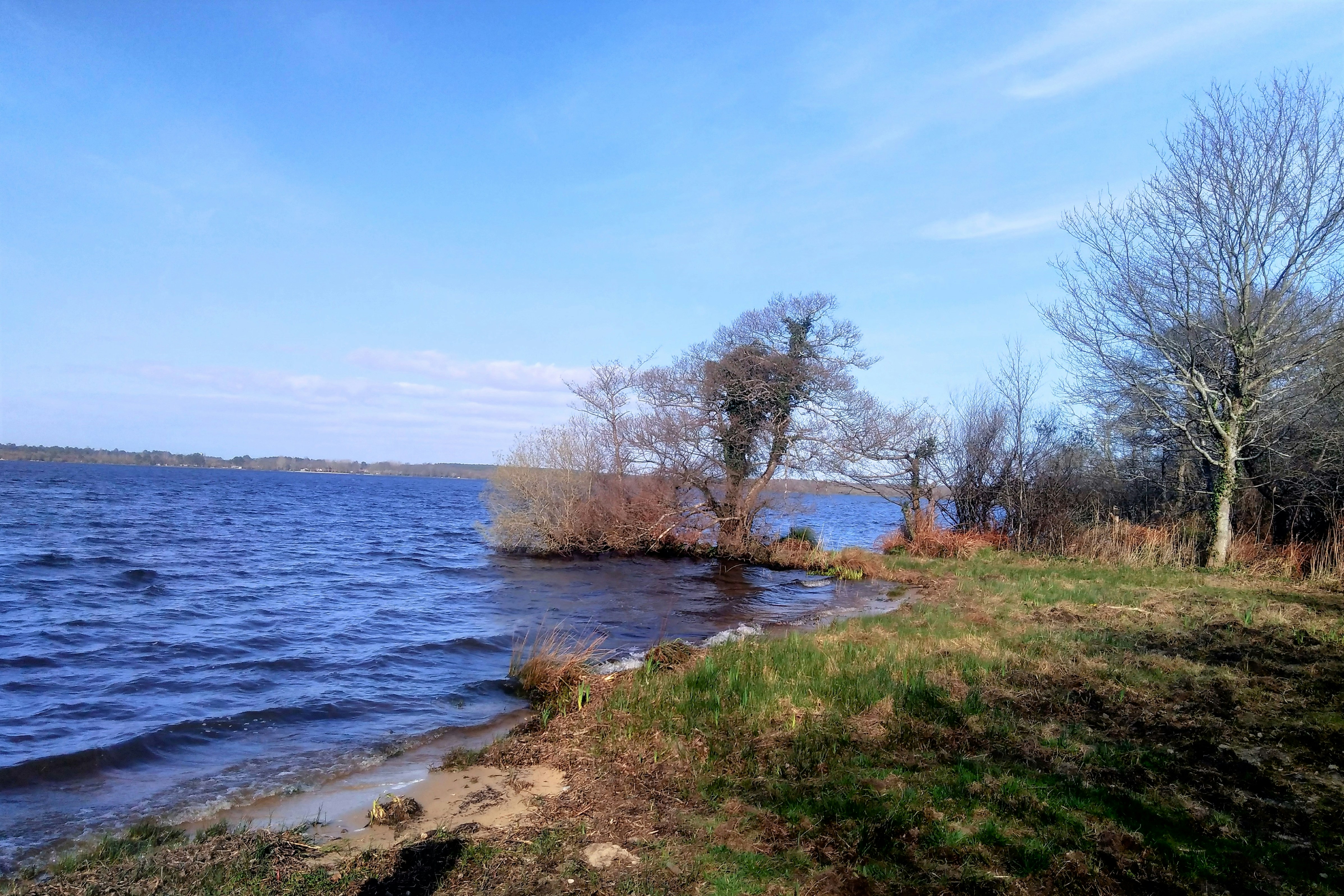 Photo by mike_steelen