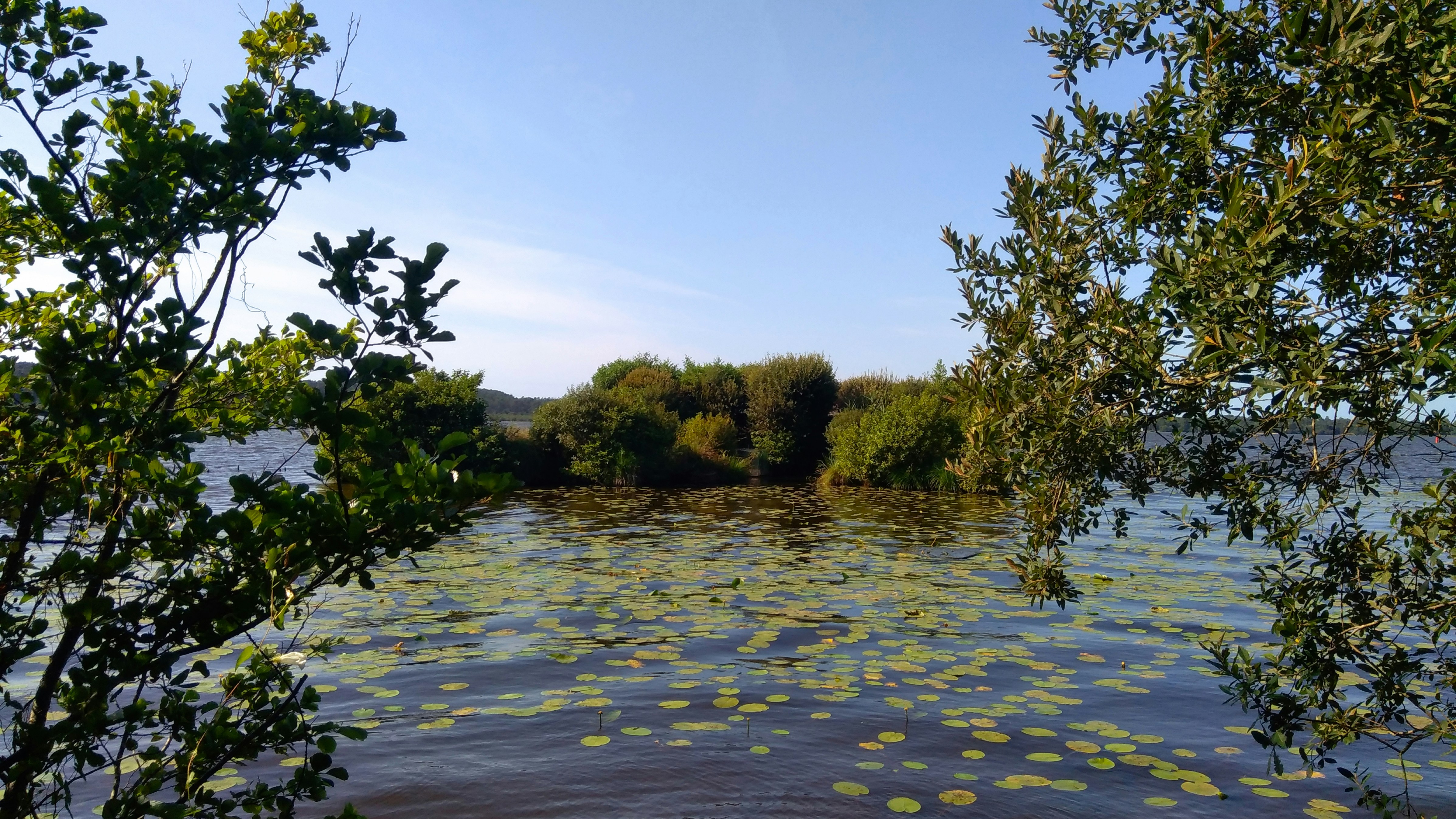 Photo by mike_steelen