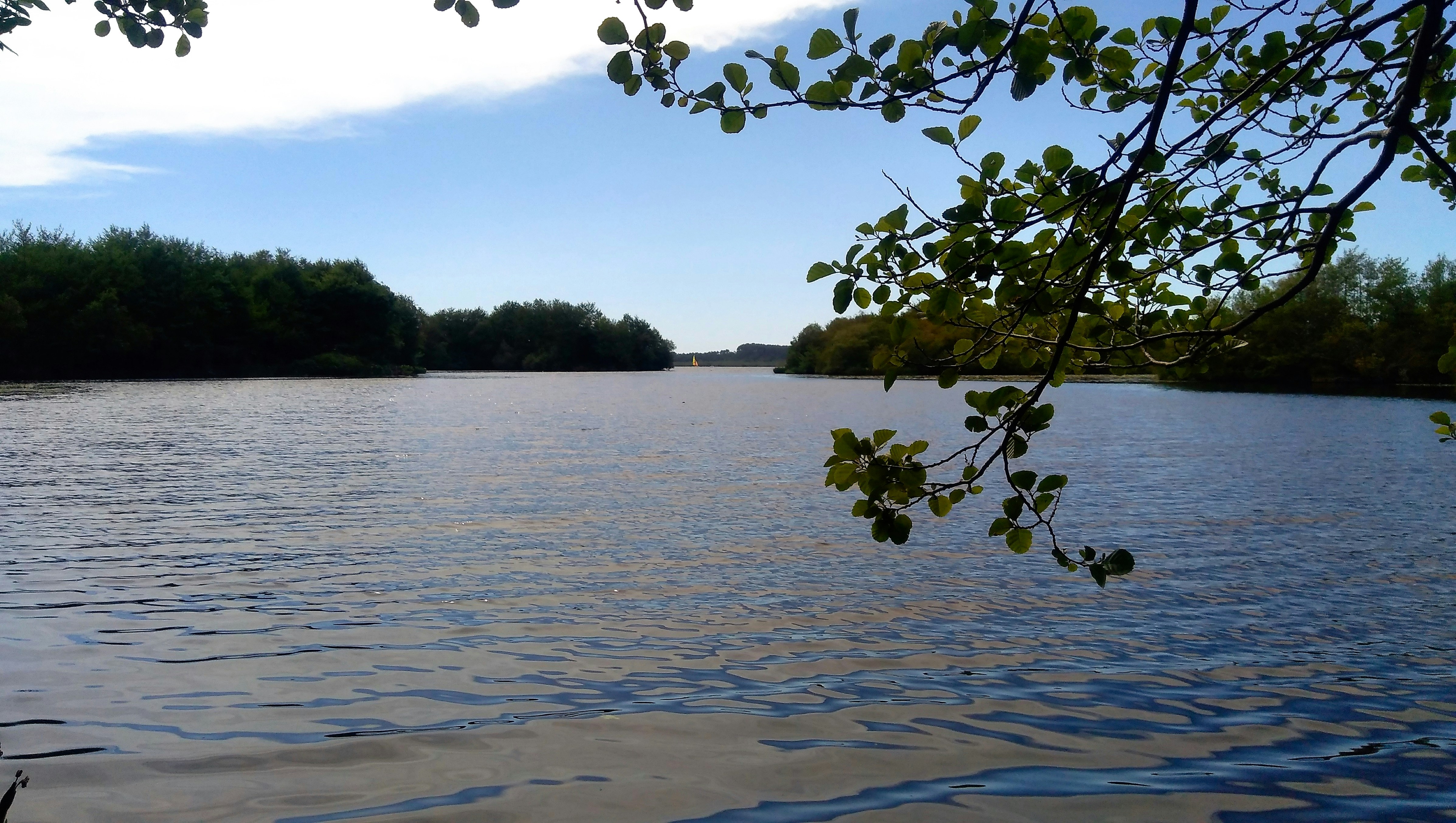 Photo by mike_steelen