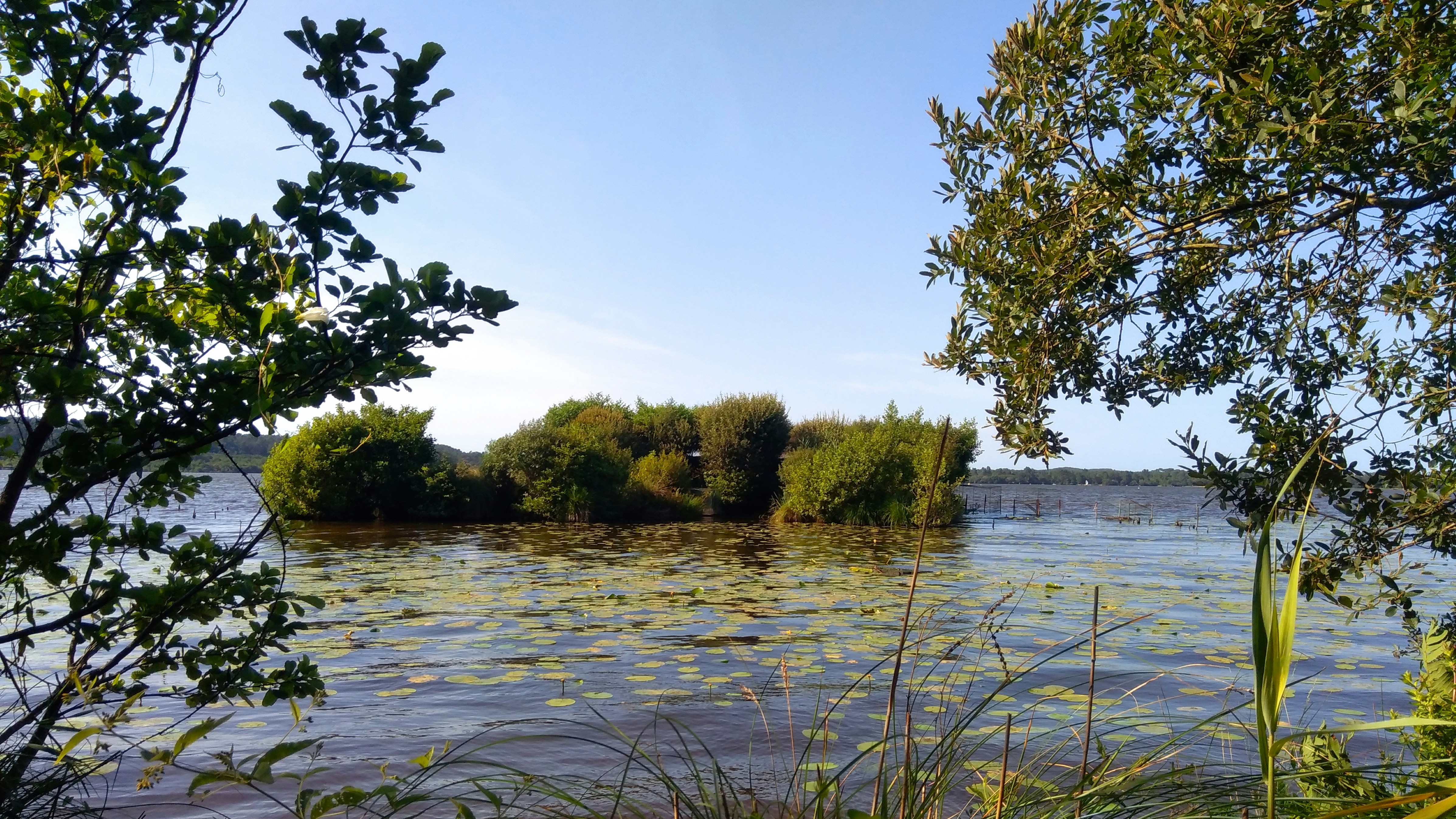 Photo by mike_steelen