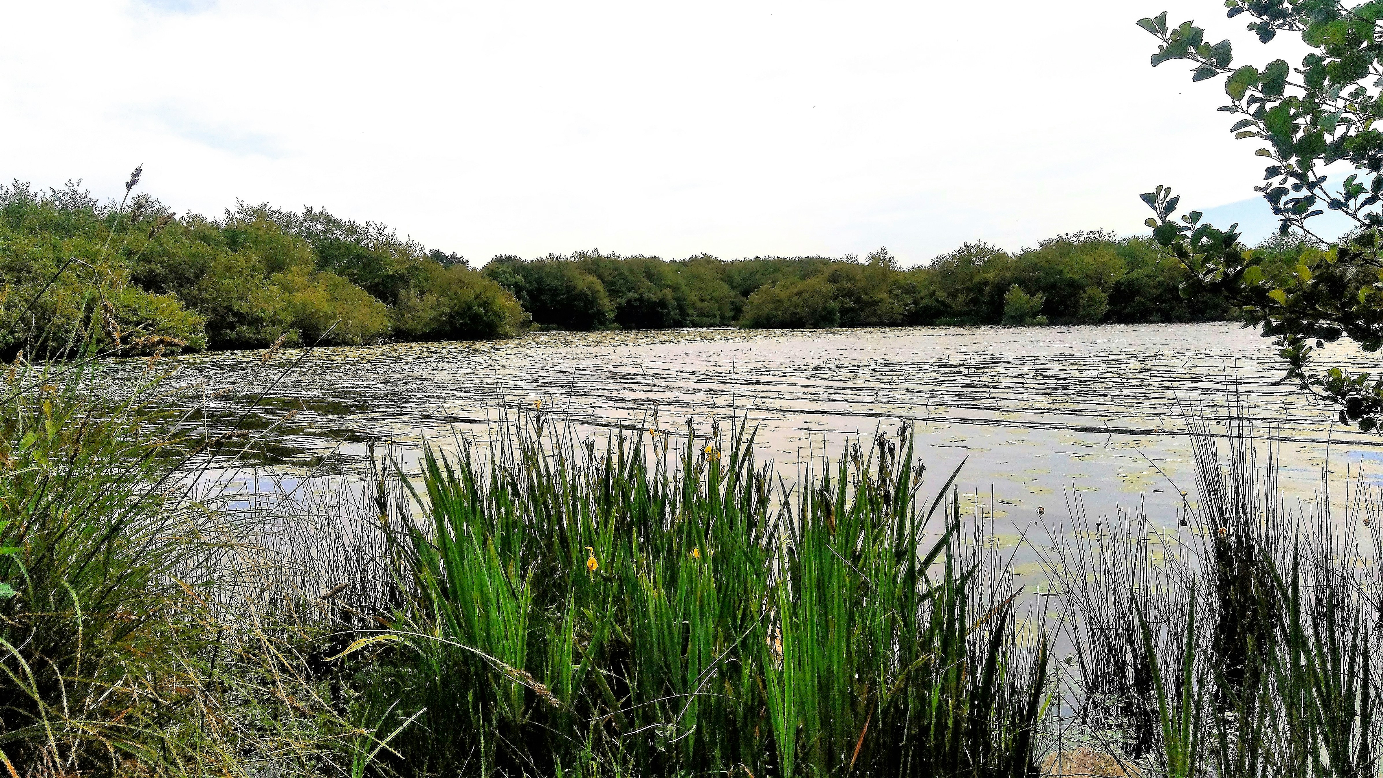 Photo by mike_steelen