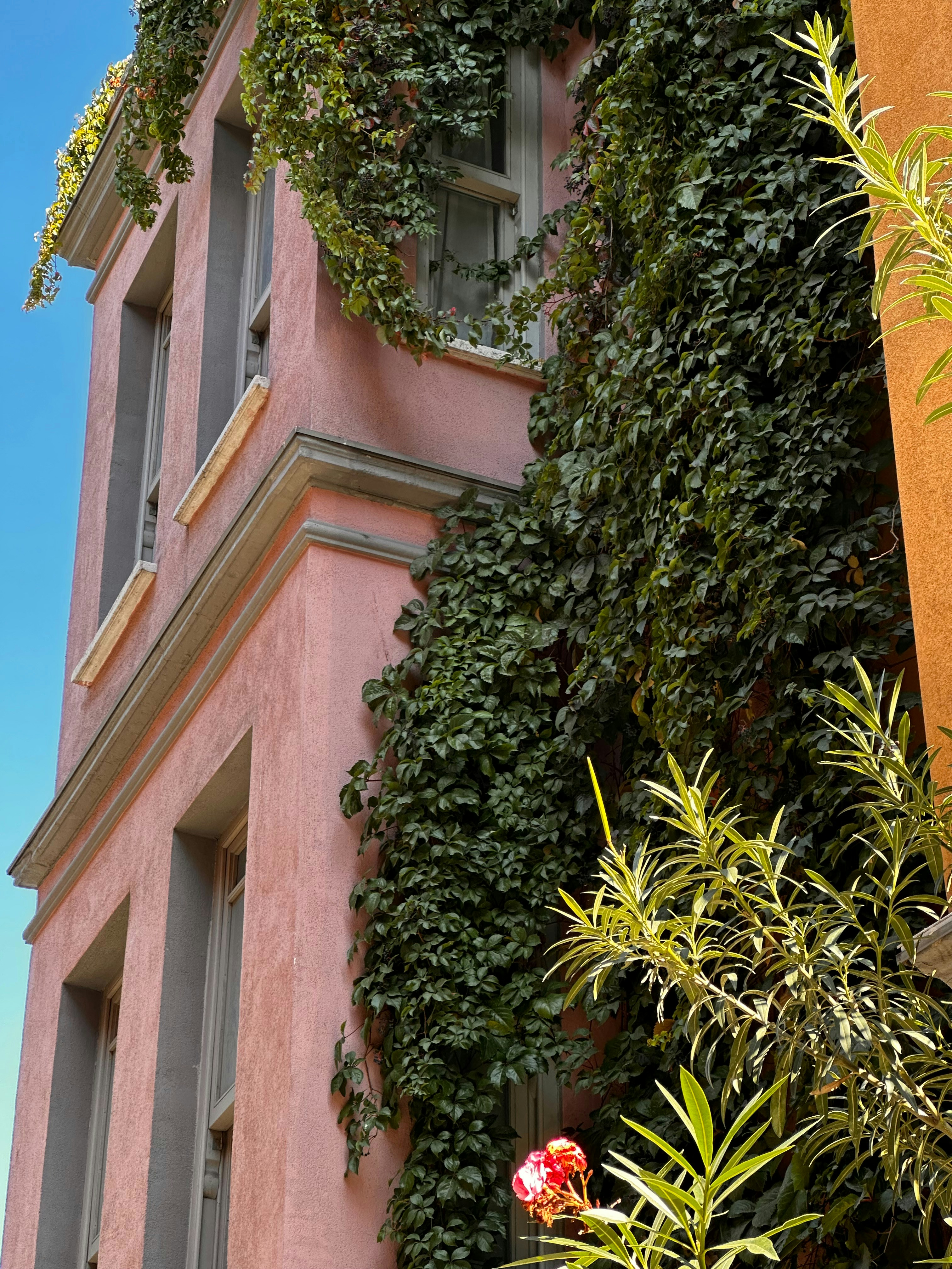 Photo by ralfspannan