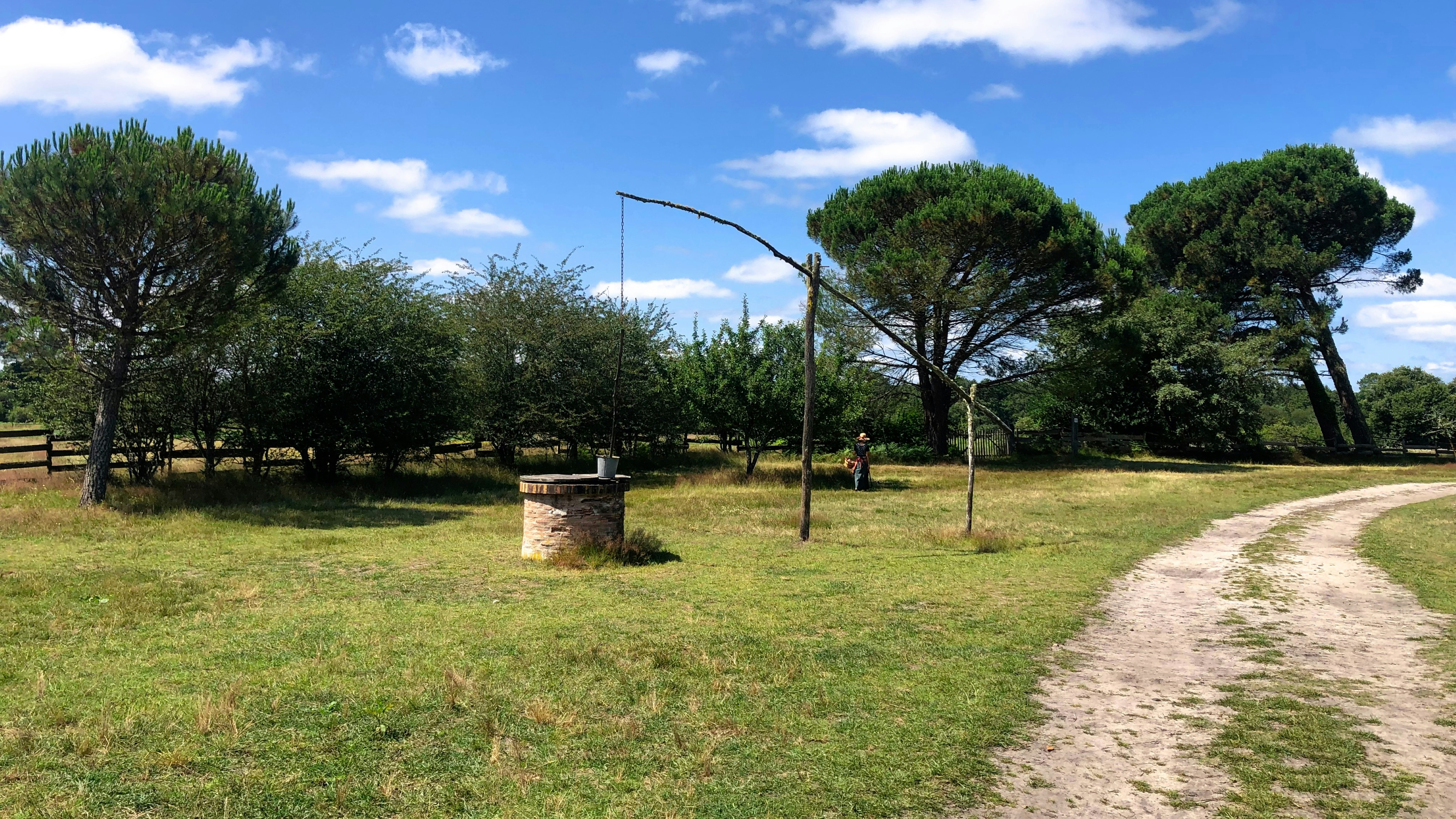 Expat Guide to Living in Breu Branco (2026)