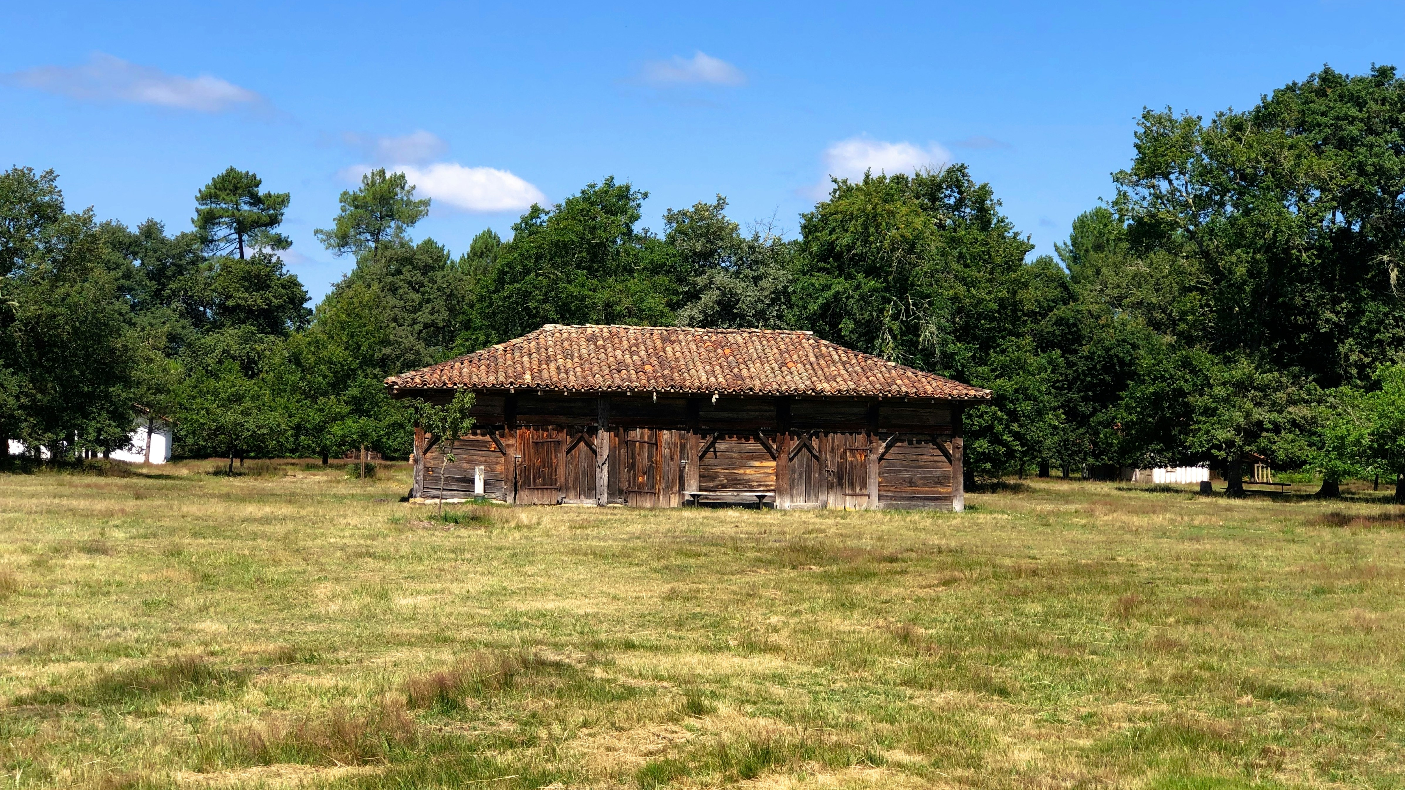 Photo by mike_steelen