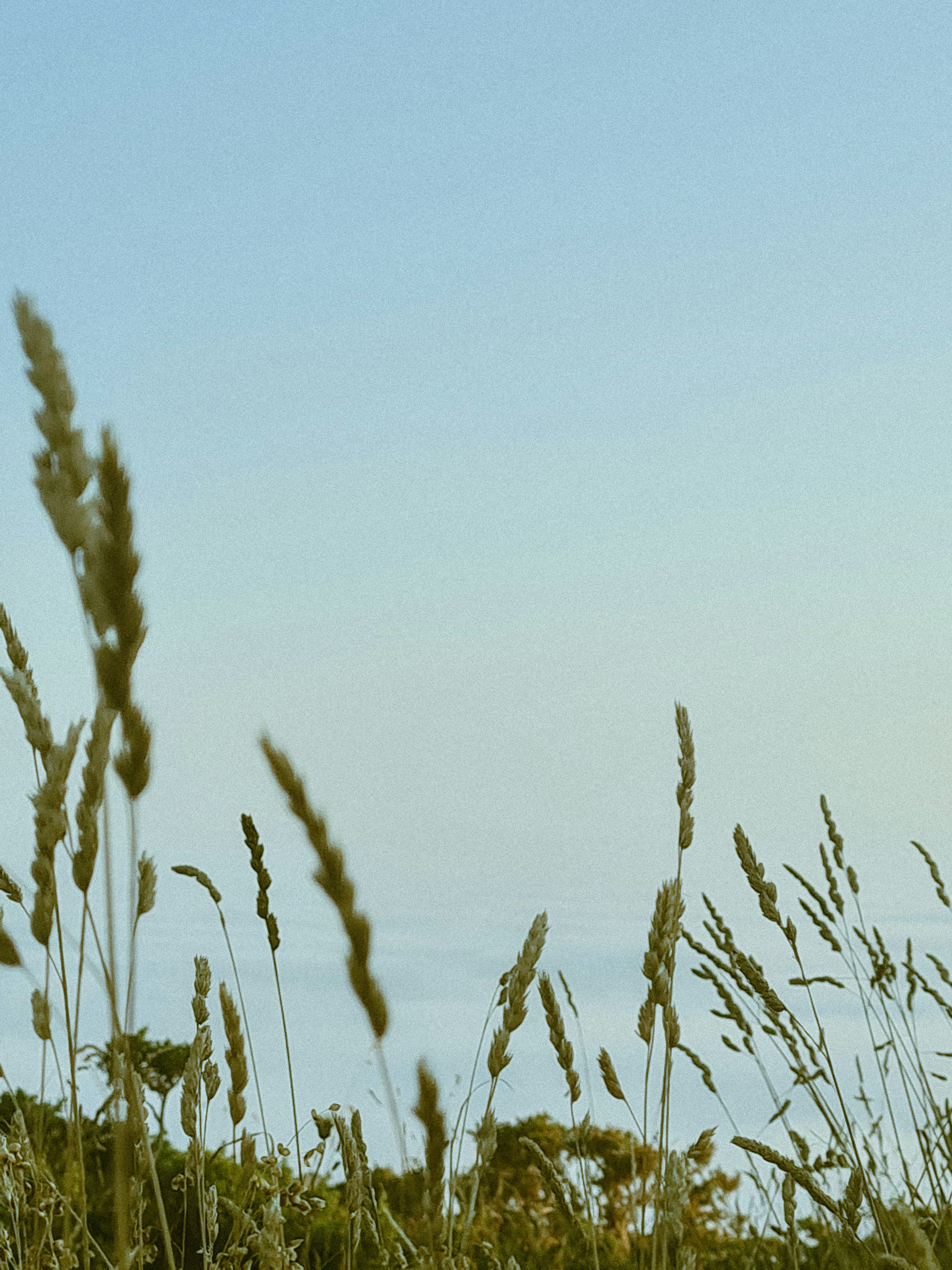 Photo by inmasantiago