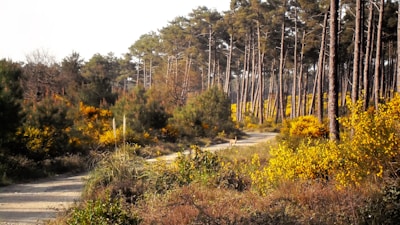 How to Pack and Use a Bear Canister