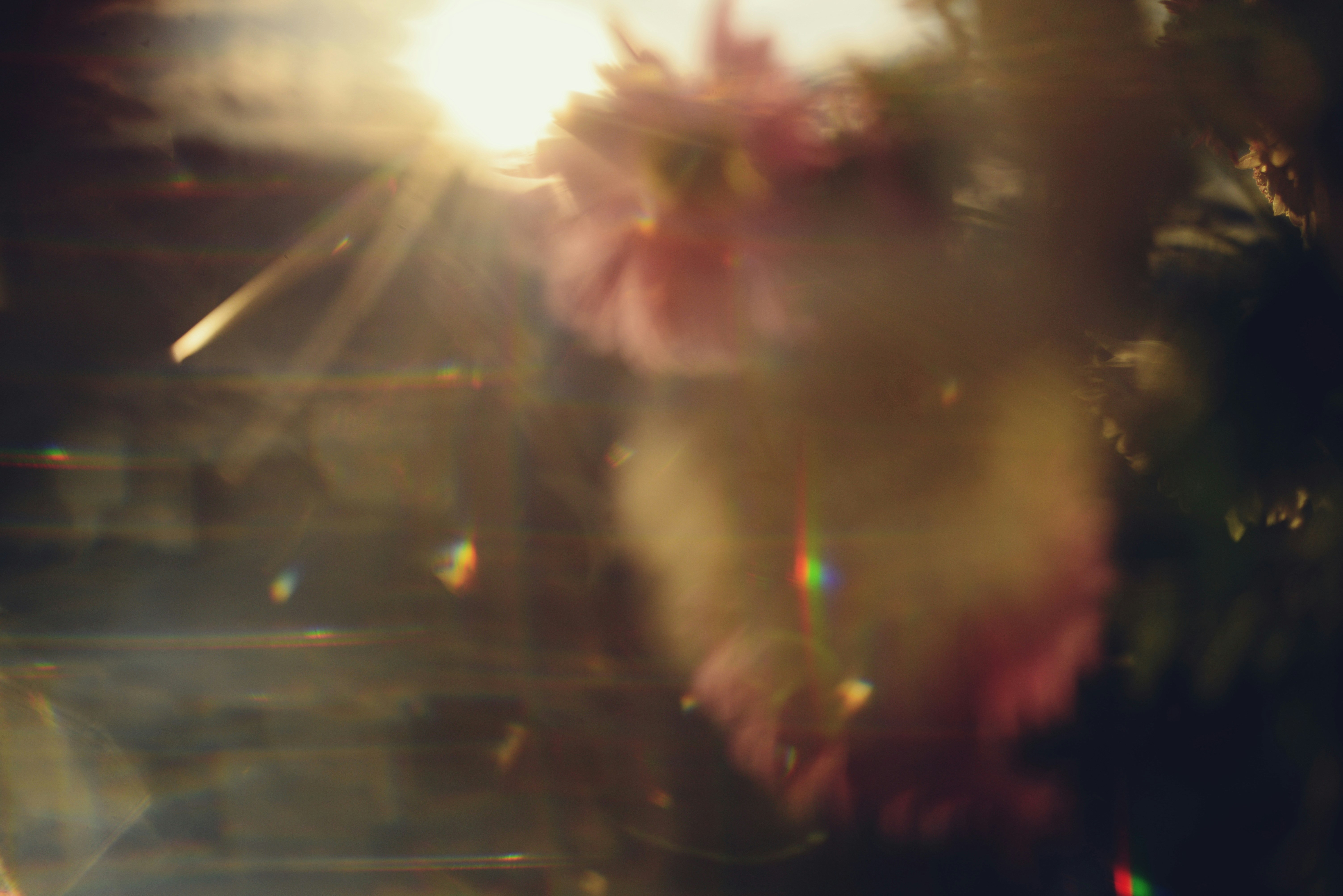 Photo by cherstve_pechivo