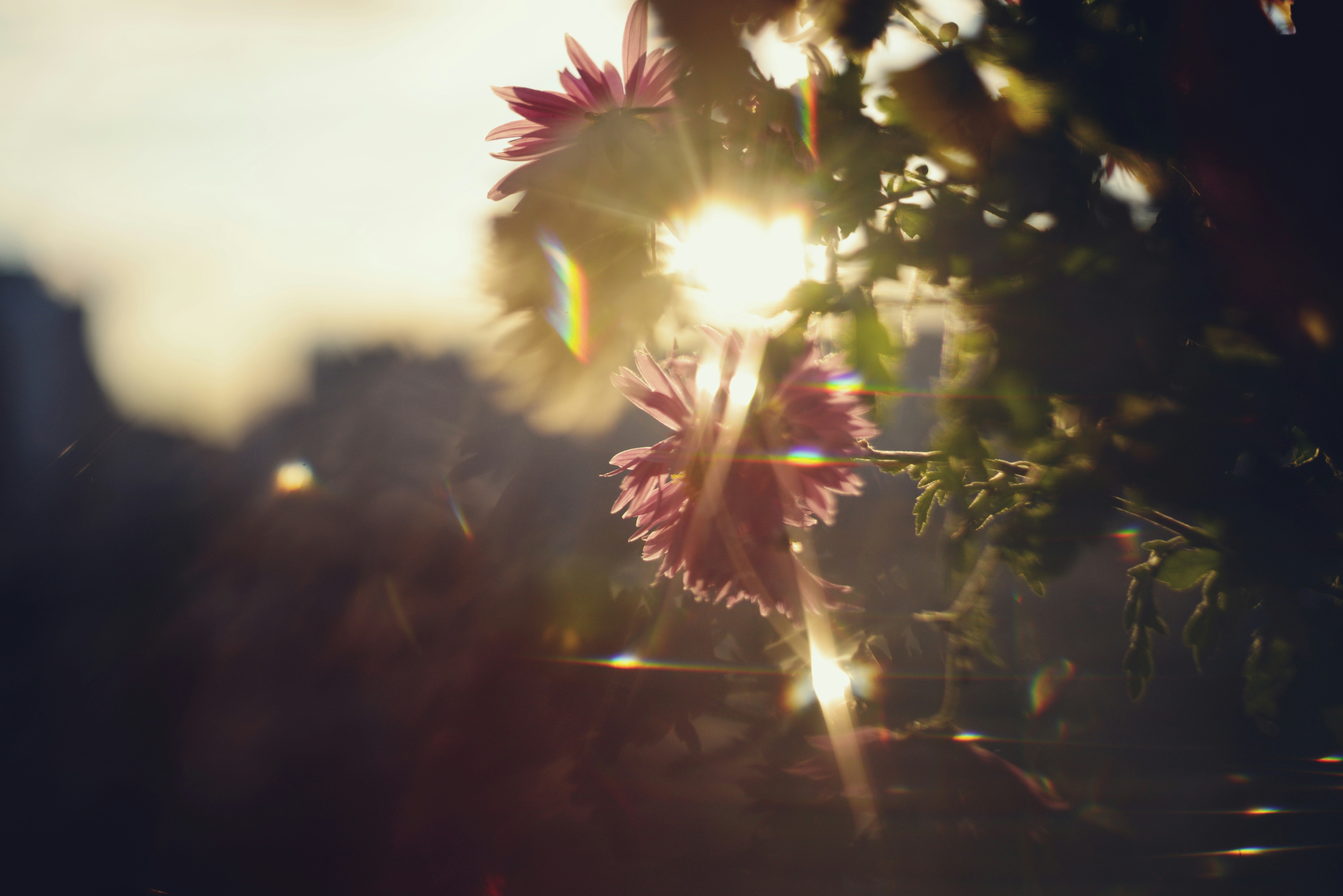 Photo by cherstve_pechivo