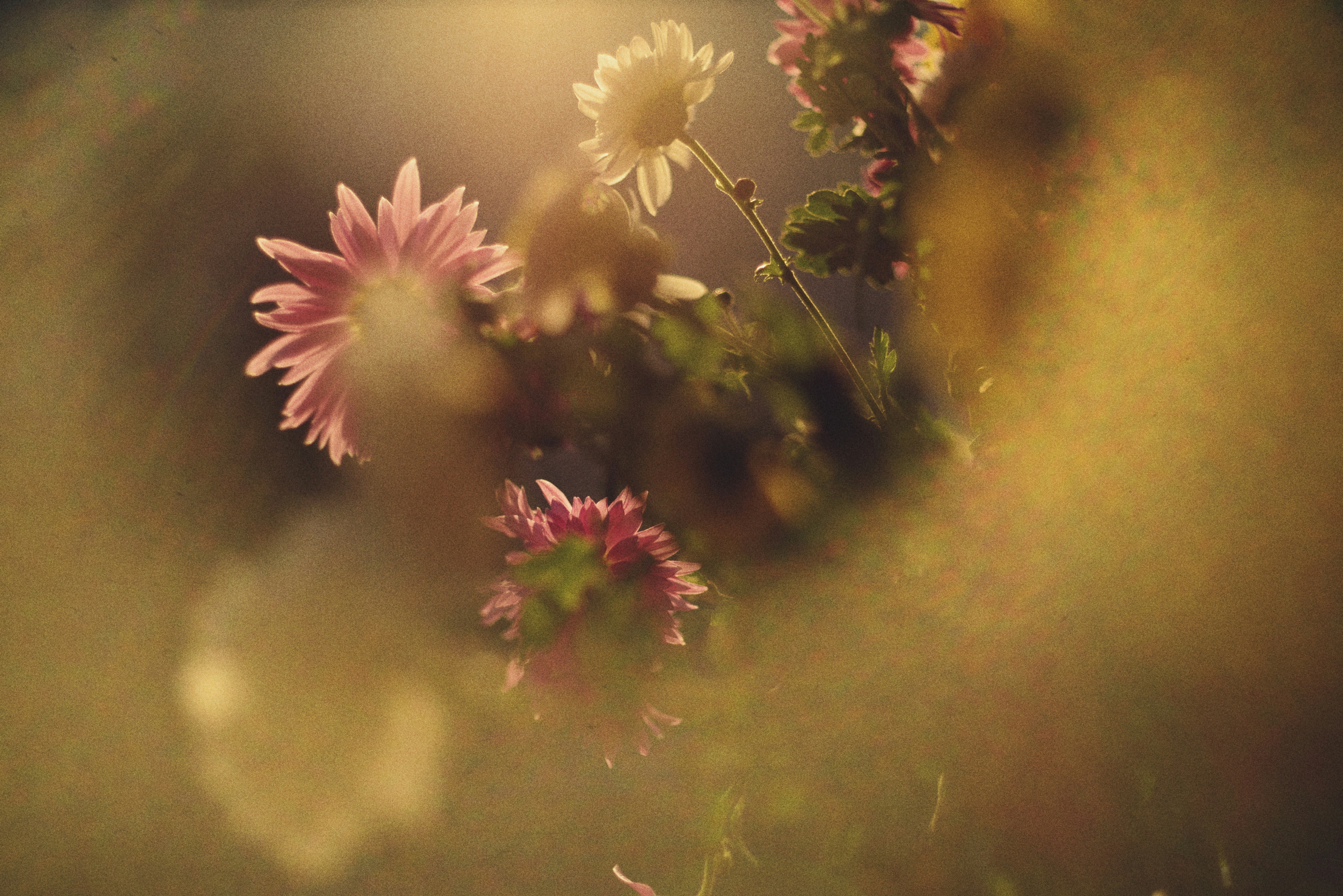 Figure Out Just How LASIK Eye Surgical Procedure Can Improve Your Vision And Way Of Life, Creating You To Review Whether It's The Appropriate Choice For You