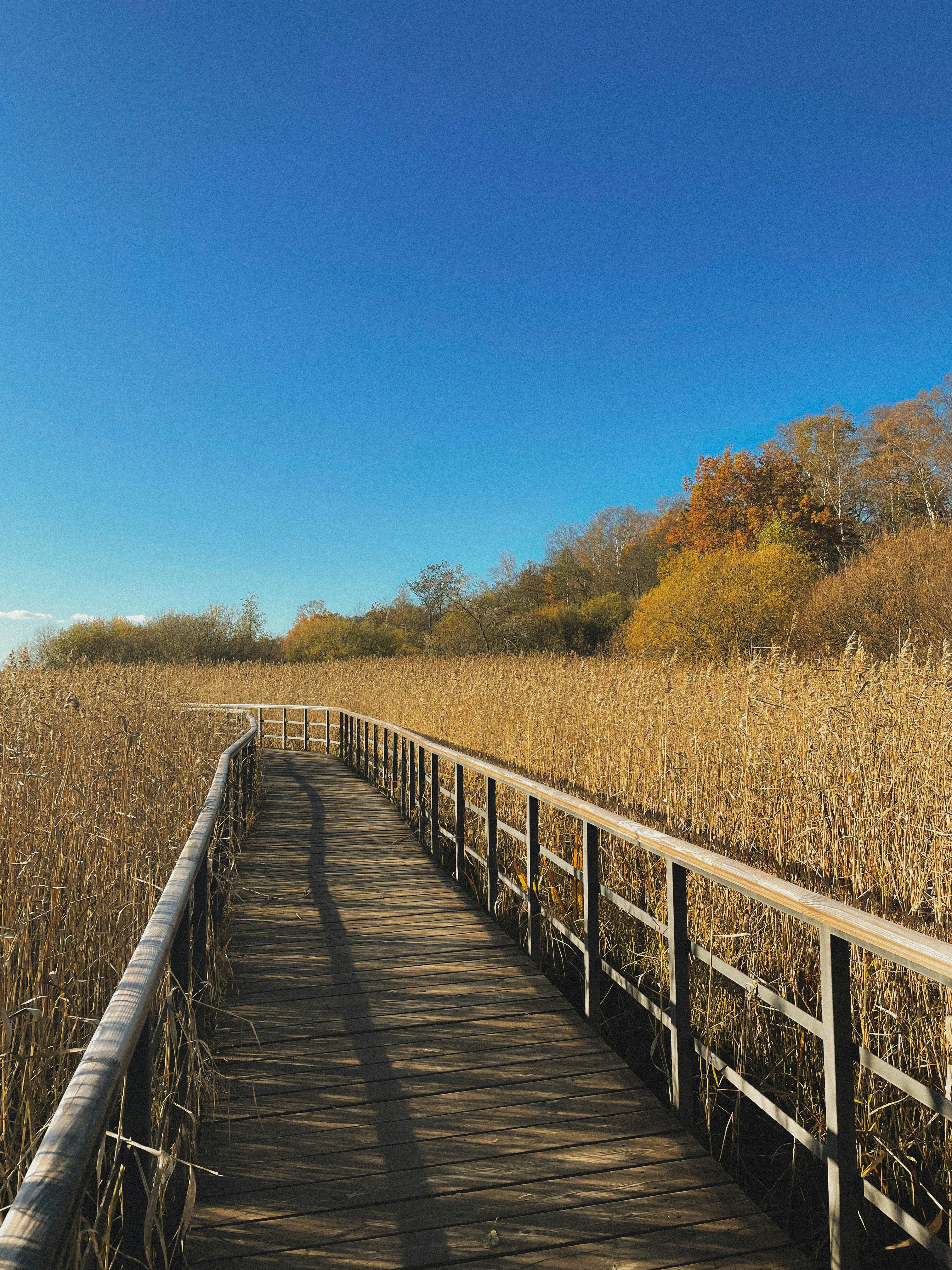 Photo by margotannet