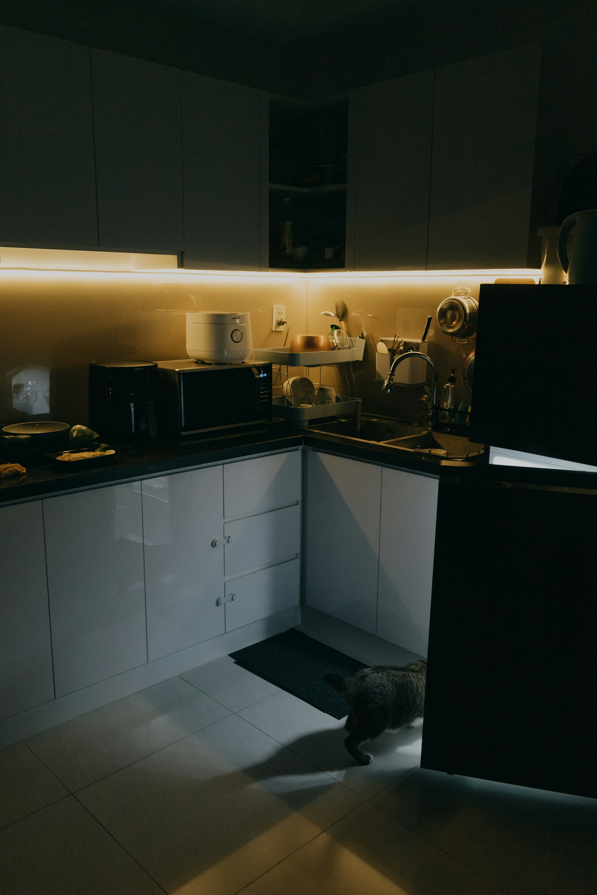 A cat walks through a dimly lit modern kitchen.