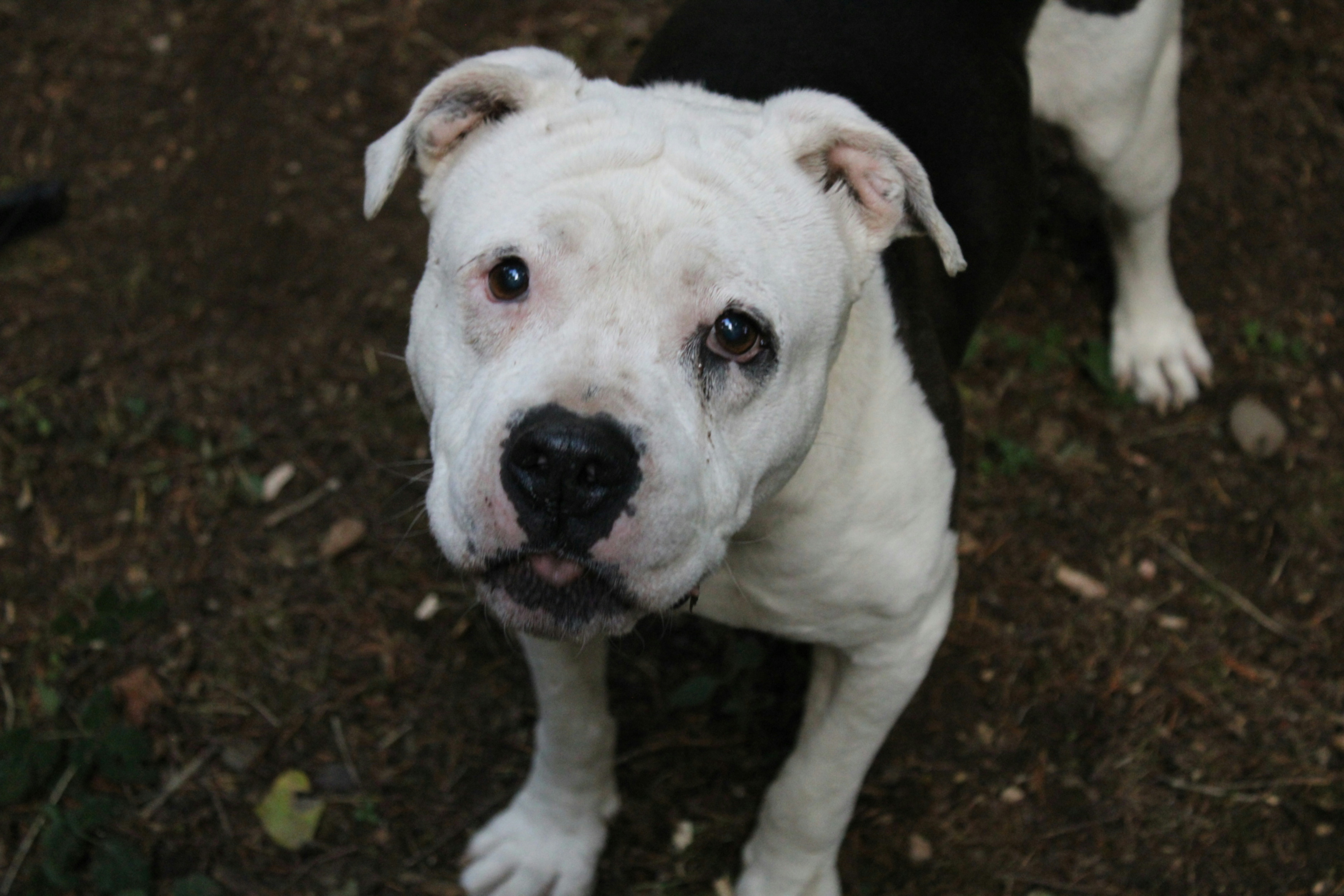 Photo by atlas_crabulous