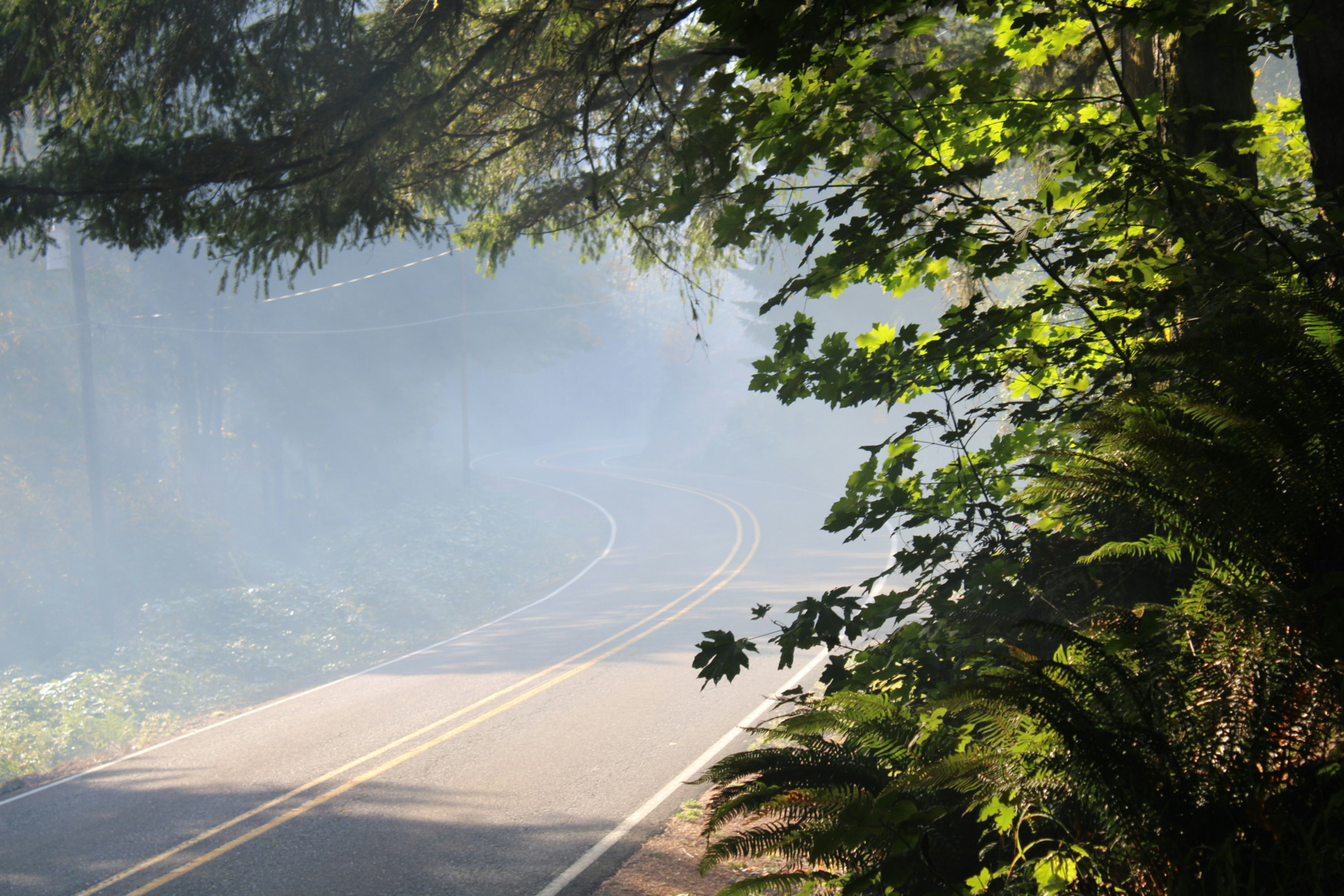 Prototype-style electric SUV driving fast on a dusty off-road trail