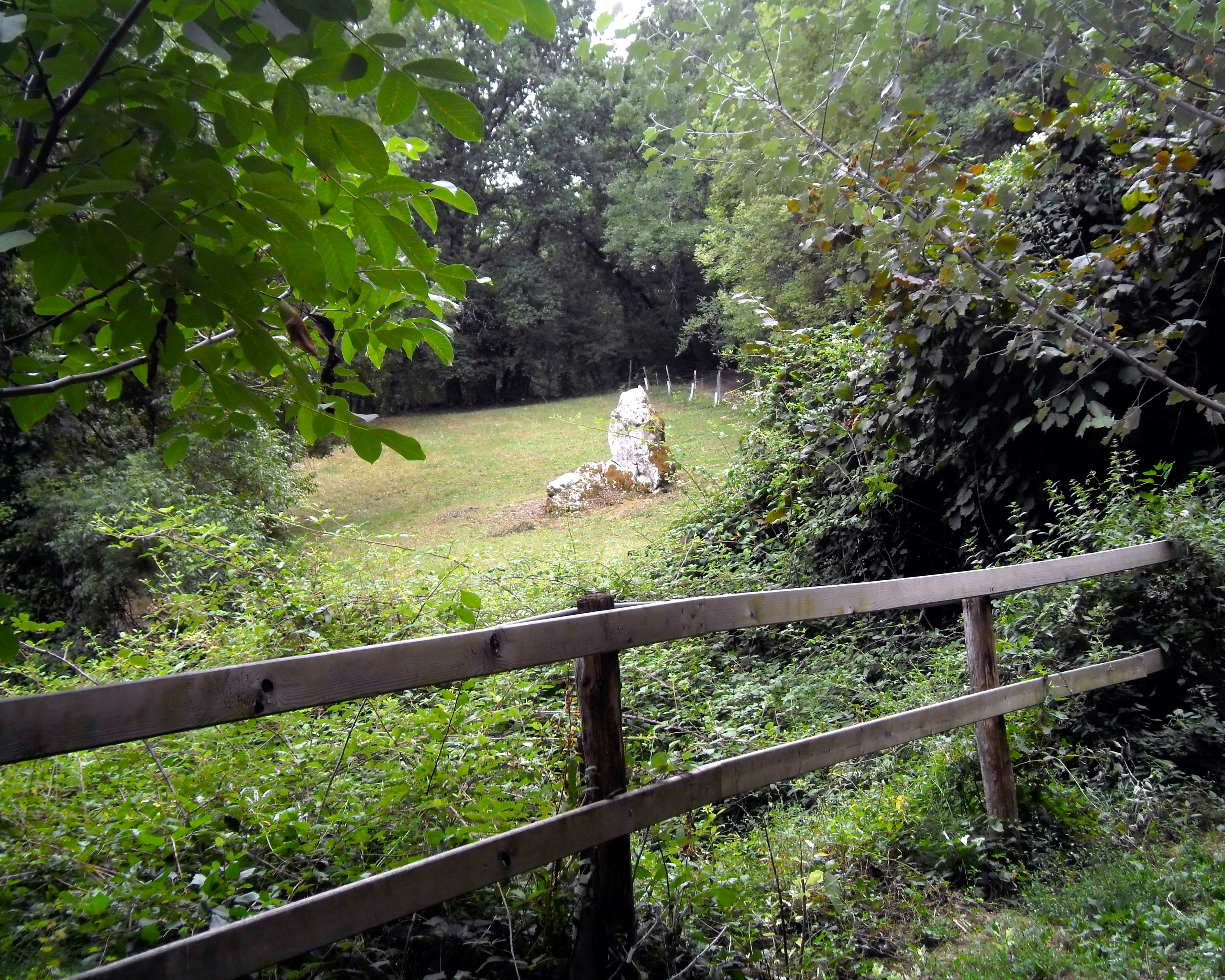Stone monument in a grassy clearing surrounded by trees.