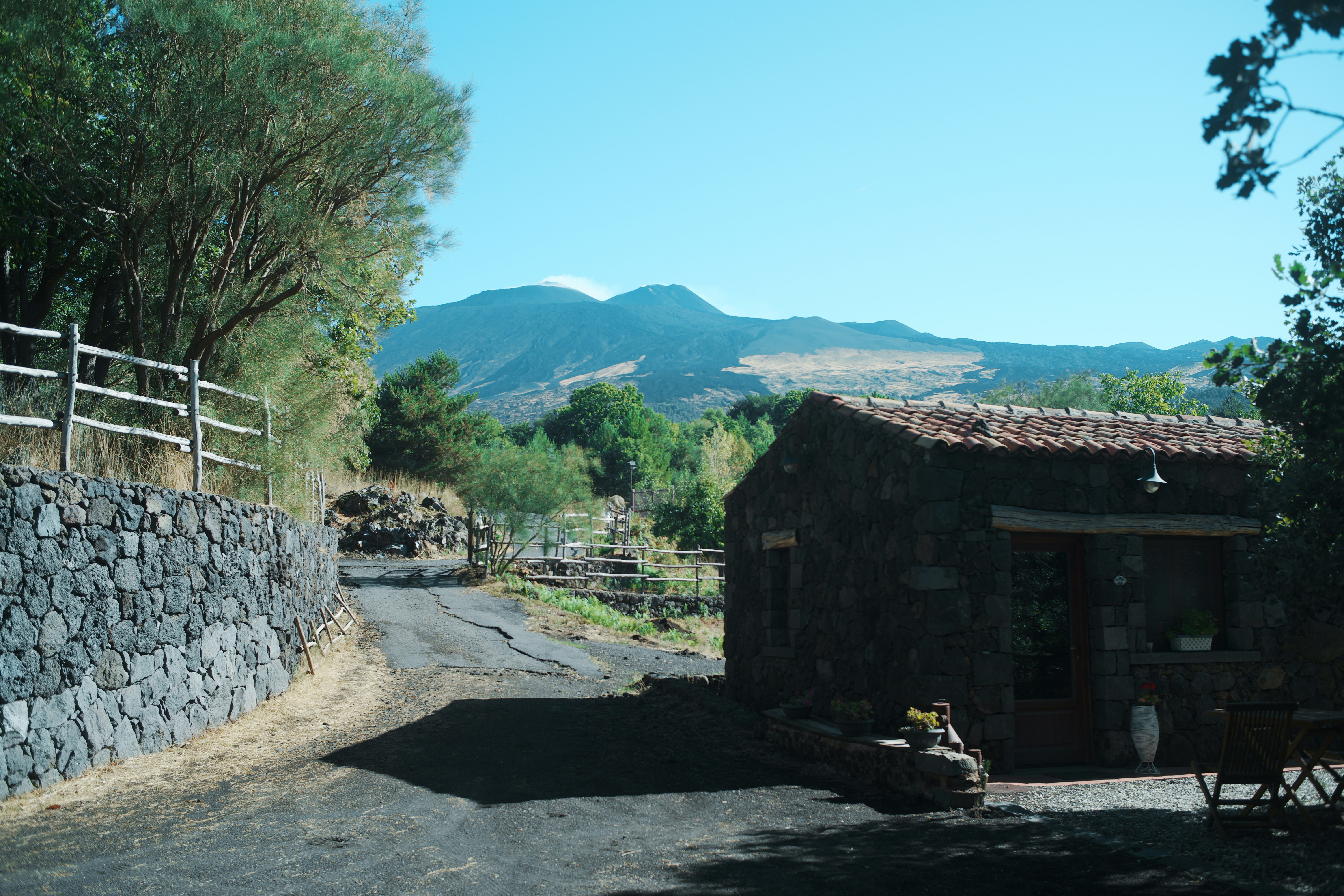 Etna Farmer's Market