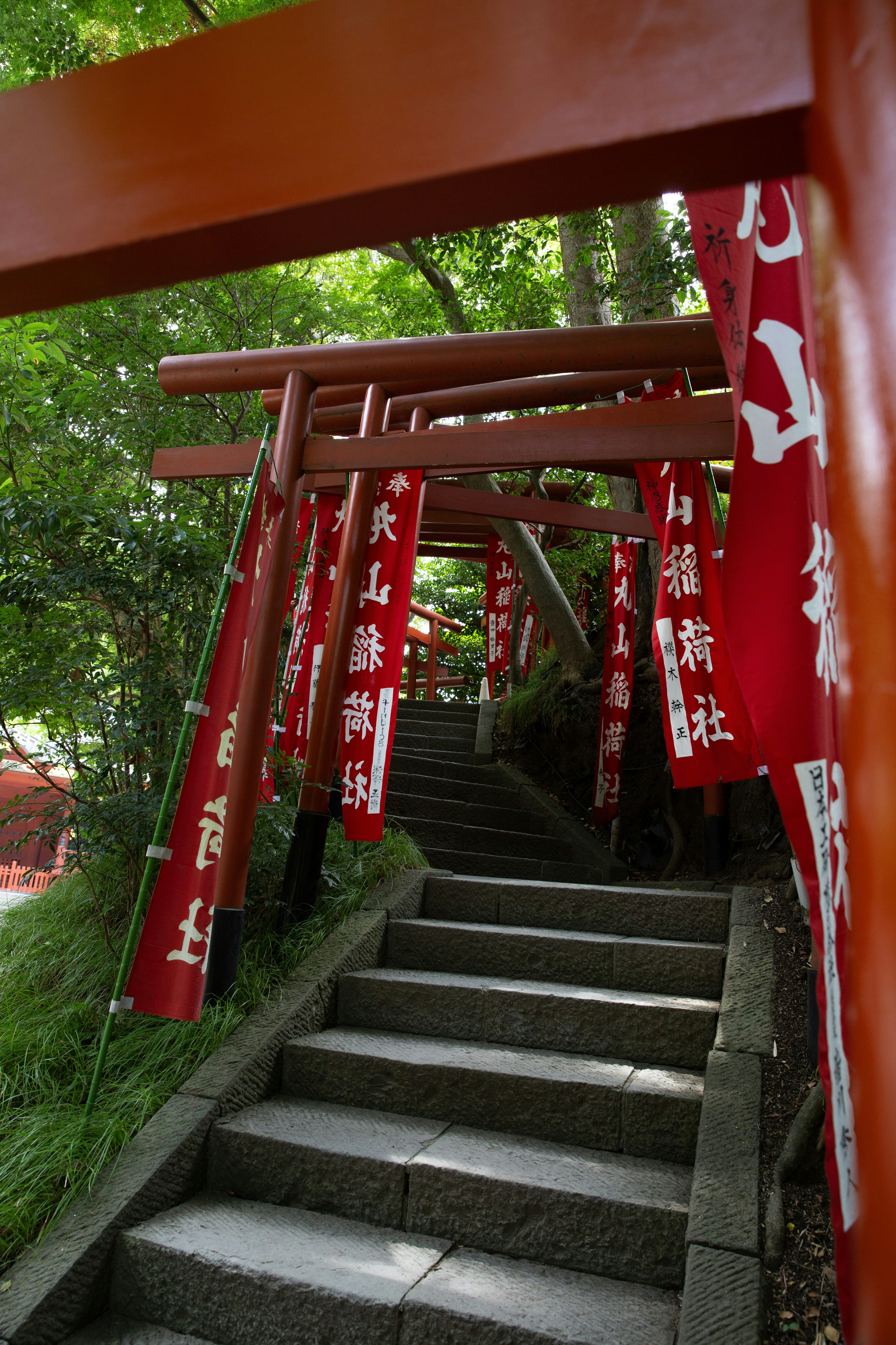 Stone steps lead up through red torii gates