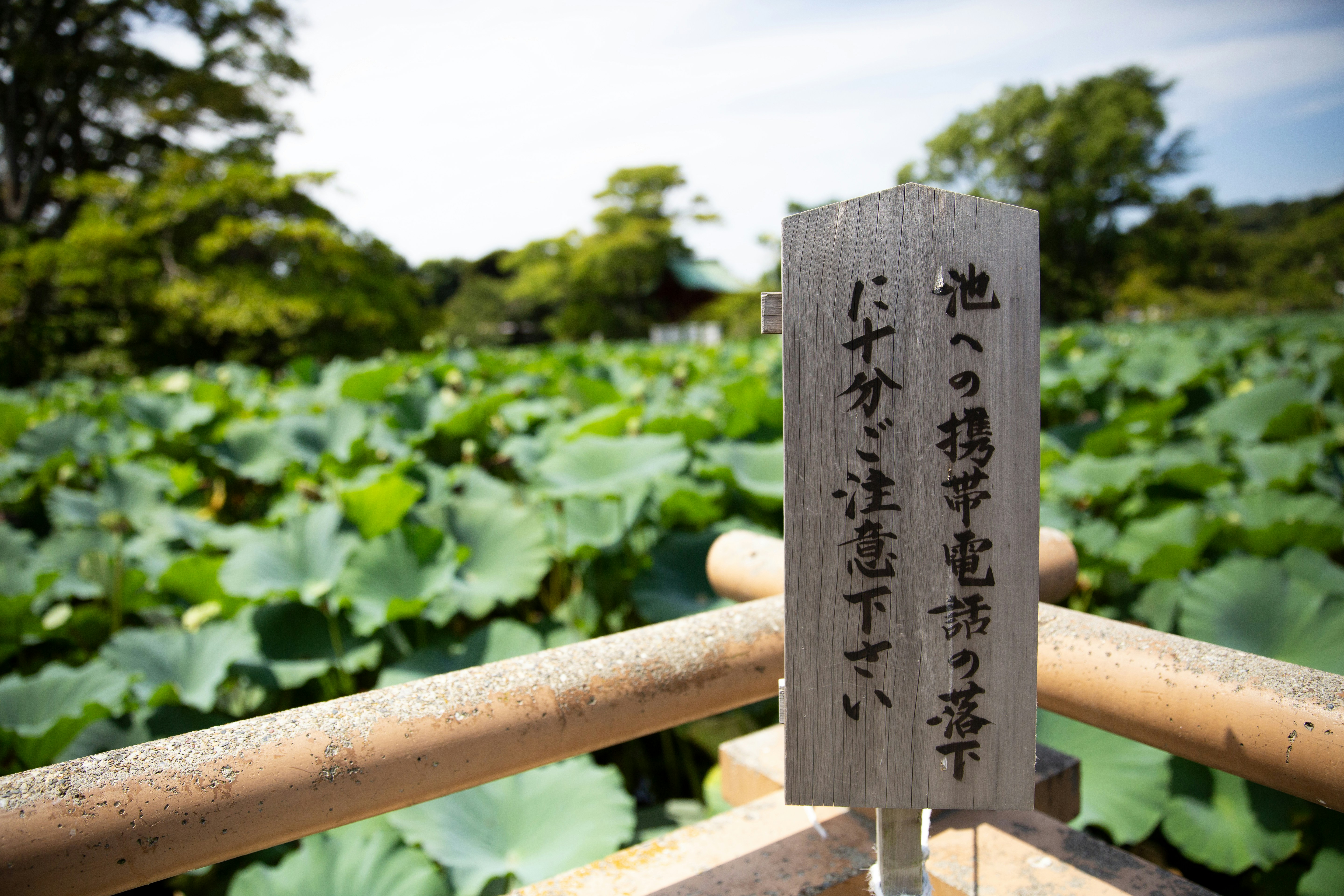 Wooden sign with japanese text in a garden.