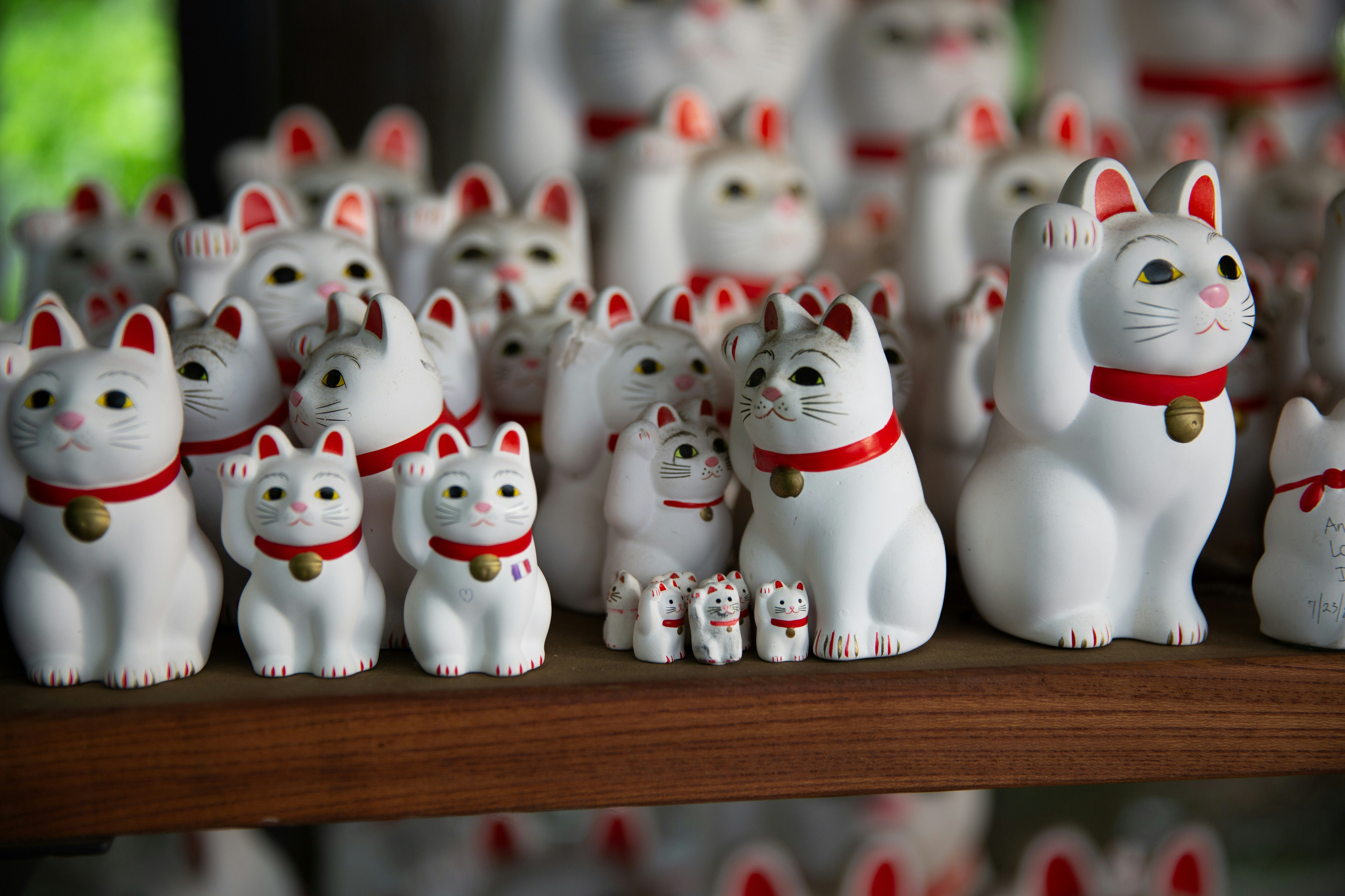 Many white lucky cat figurines on a wooden shelf