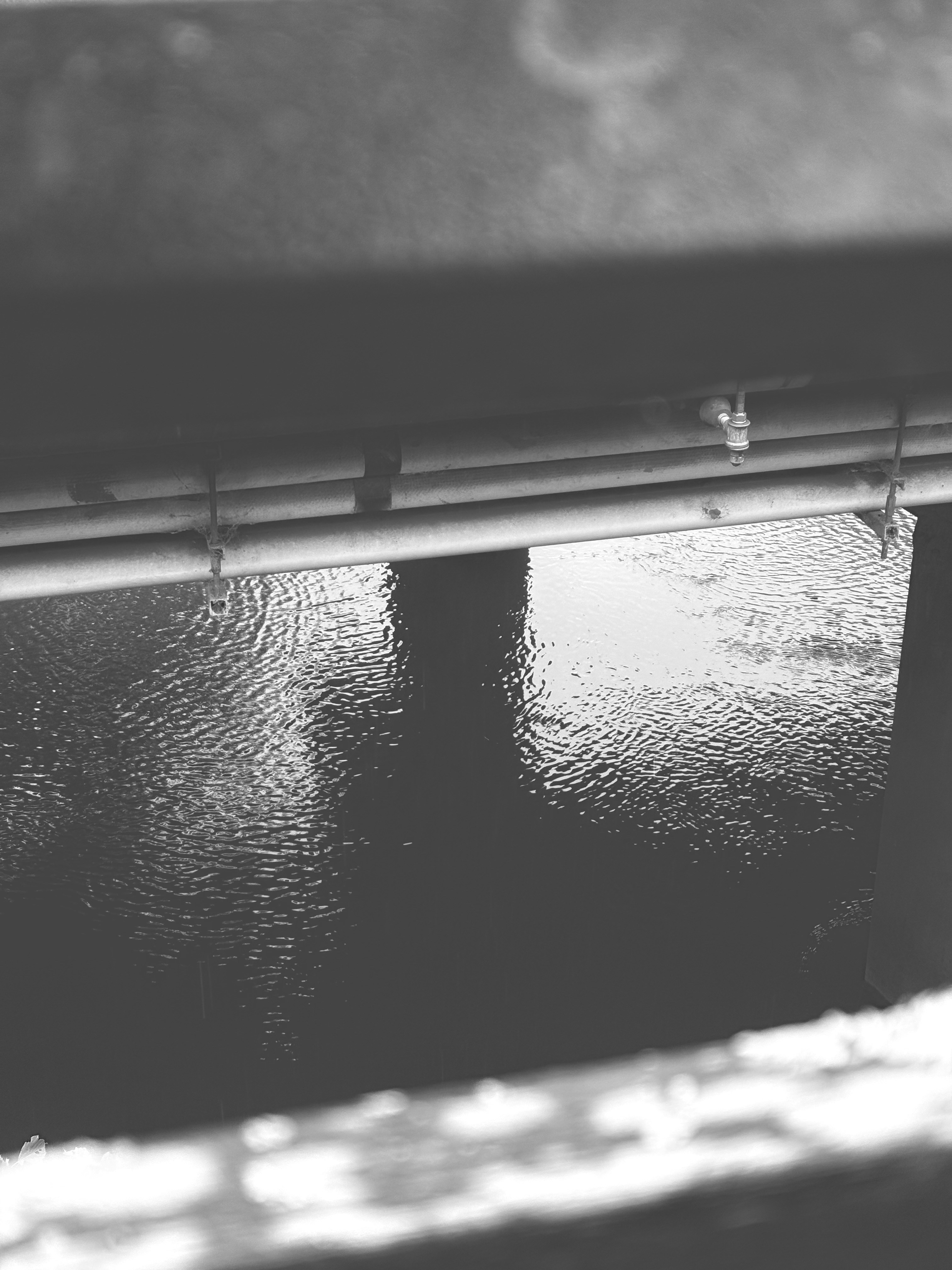 Photo by prodbyjaded