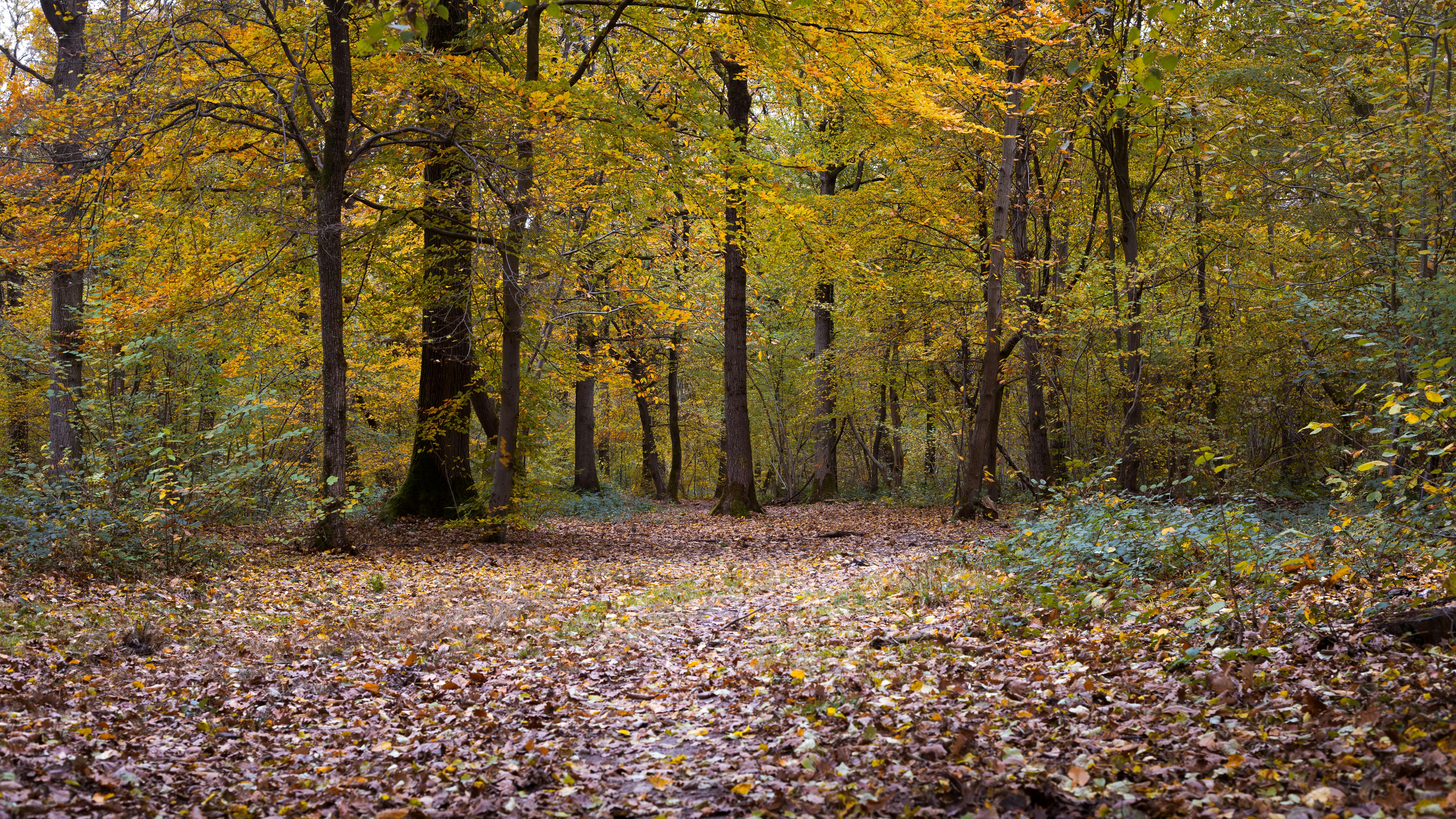 Photo by nyhasinavalona